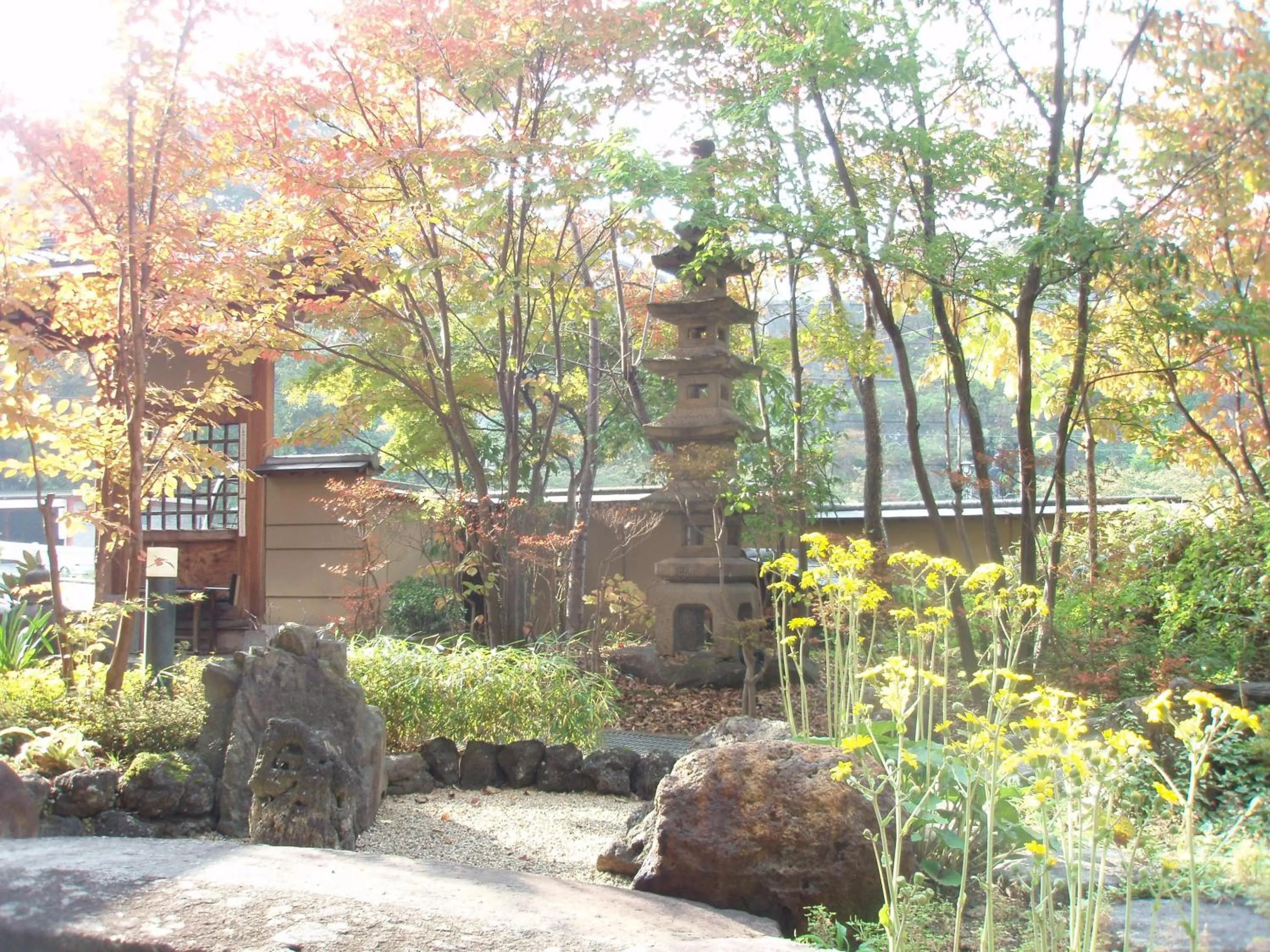 Garden in Shibu Hotel