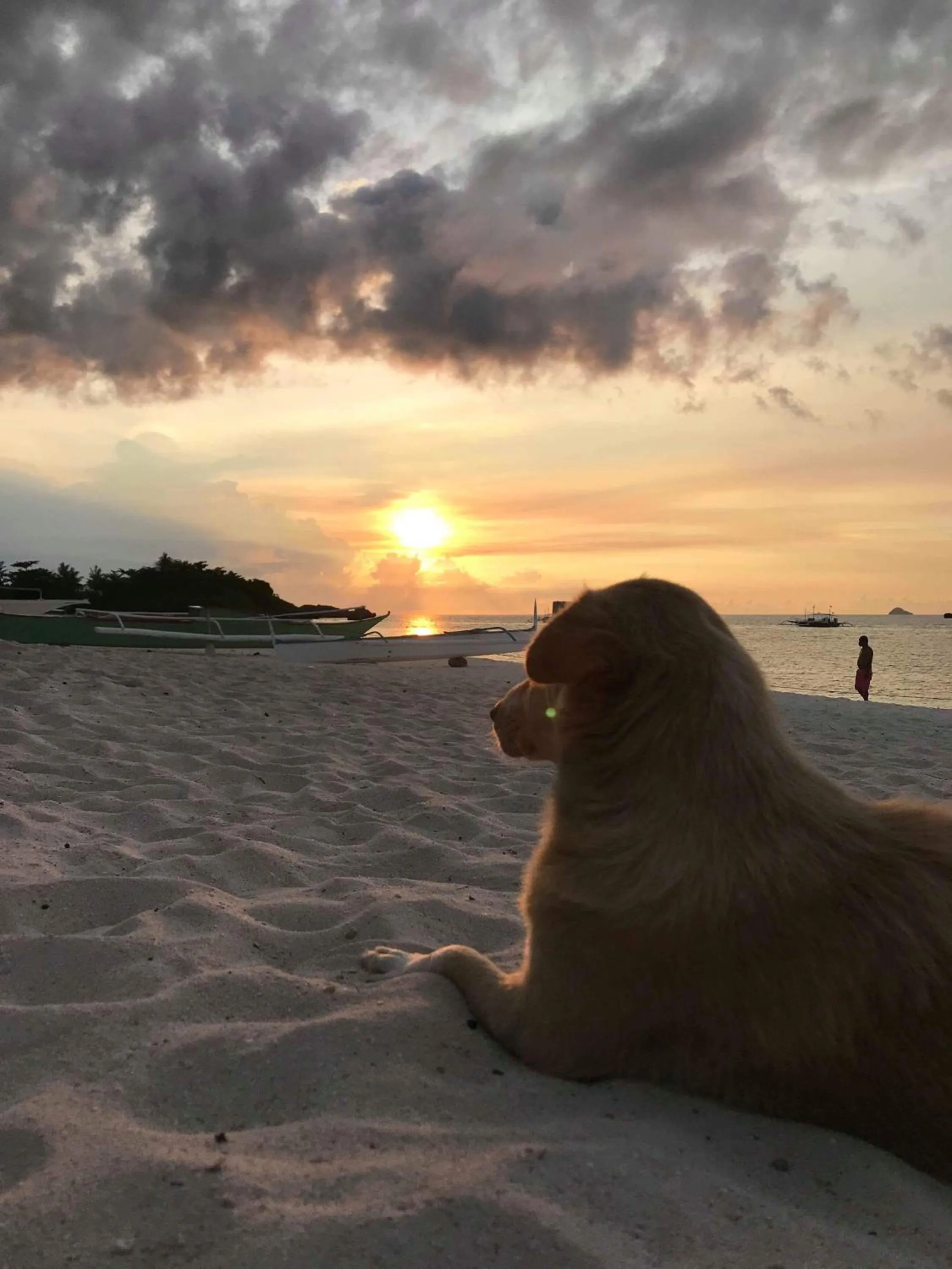 Avila's Horizon Dive Resort Malapascua