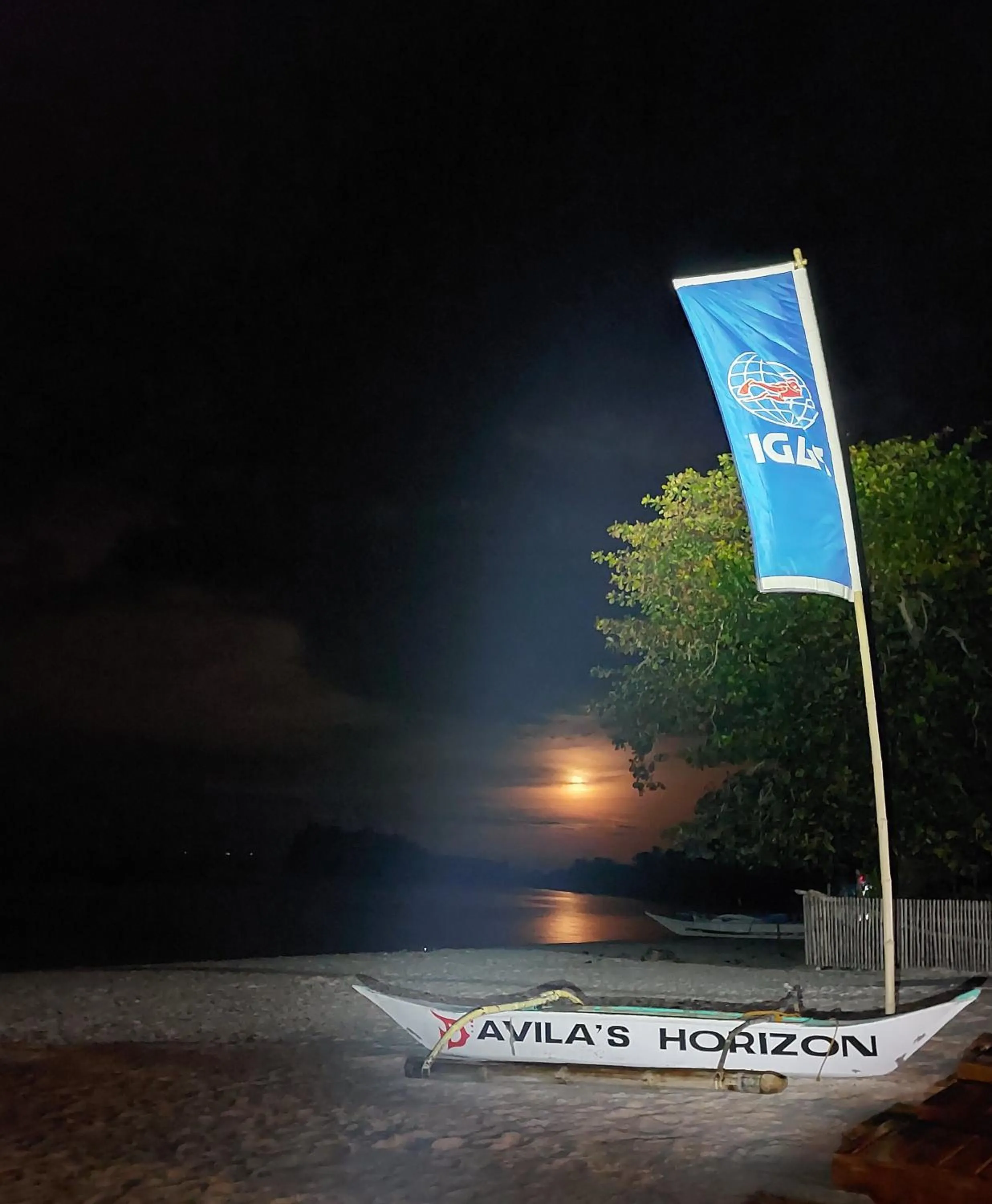 Avila's Horizon Dive Resort Malapascua