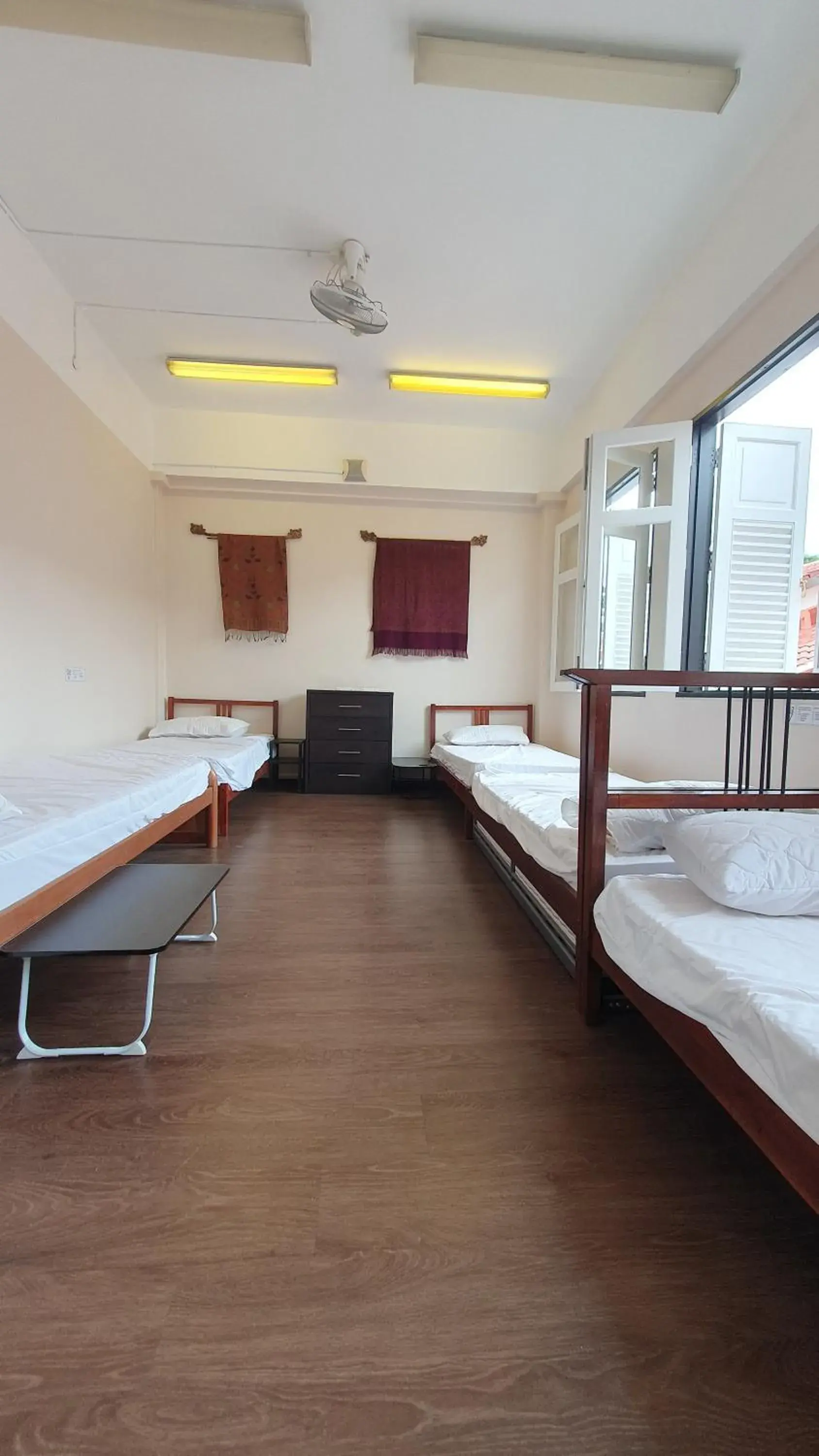 Single Bed in Female Dormitory Room in Betel Box Backpackers Hostel Single Bed in Female Dormitory Room in Betel Box Backpackers Hostel