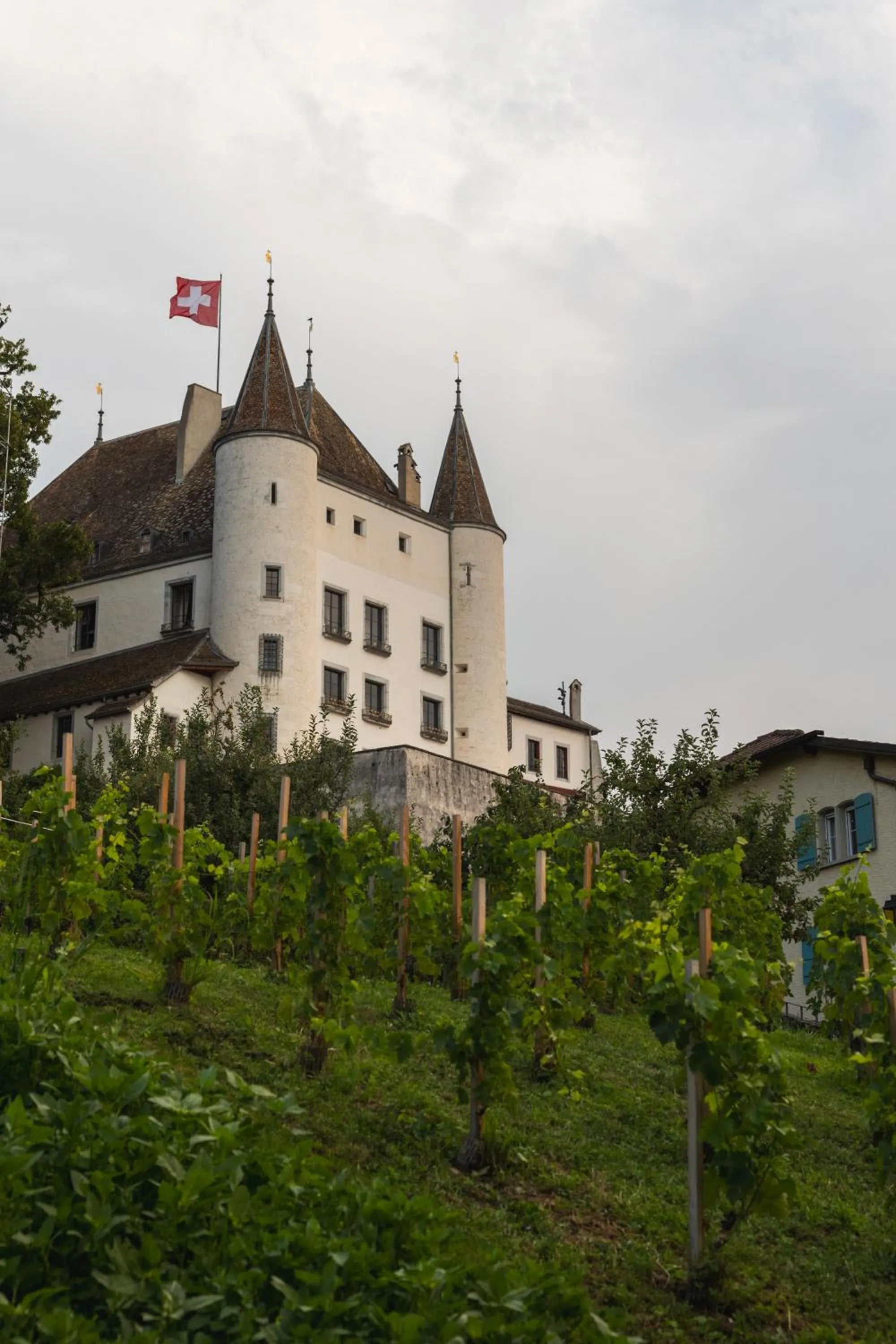 City view in Maison du Lac Boutique Hôtel