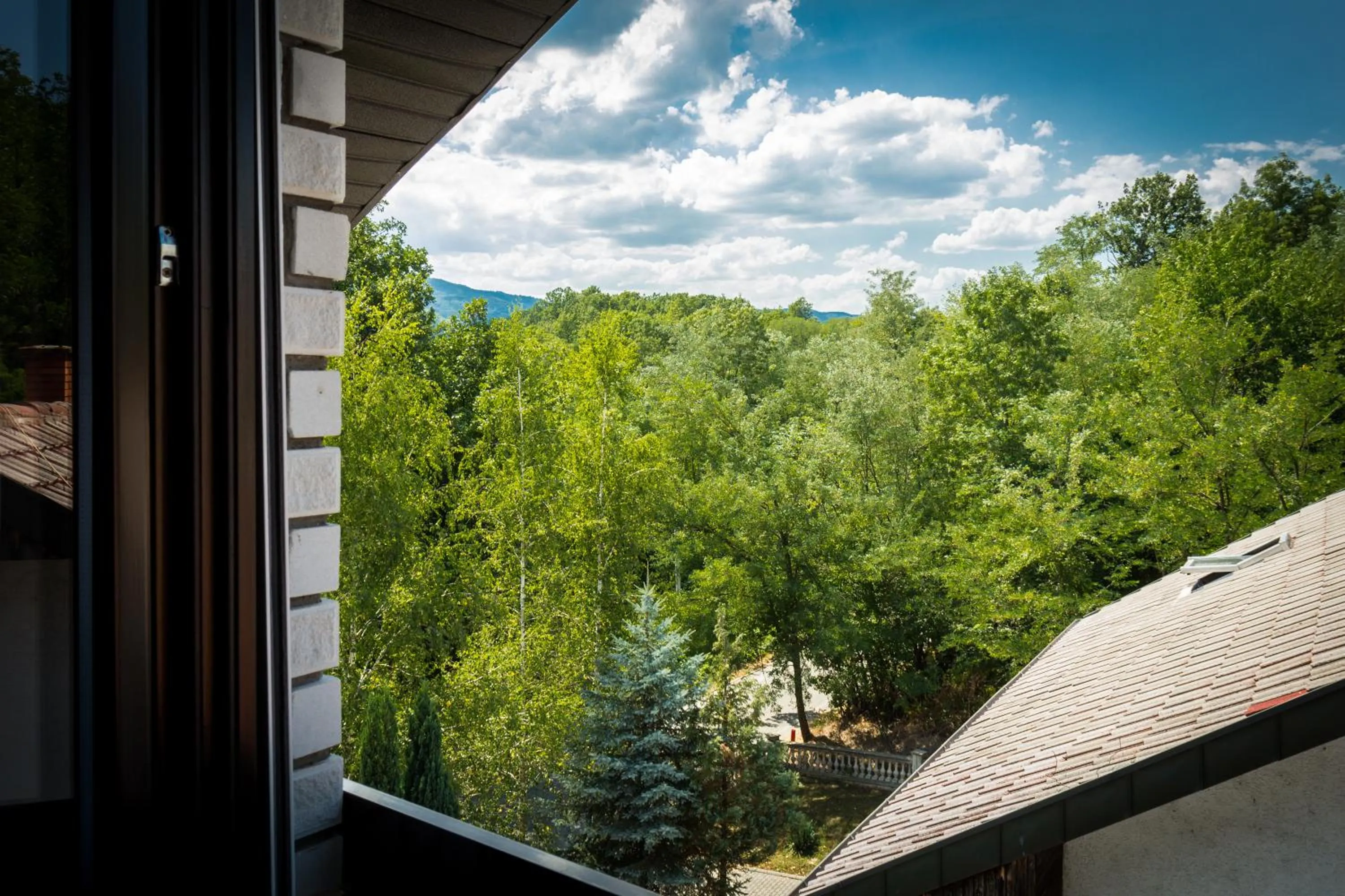 View (from property/room) in Hotel Danica