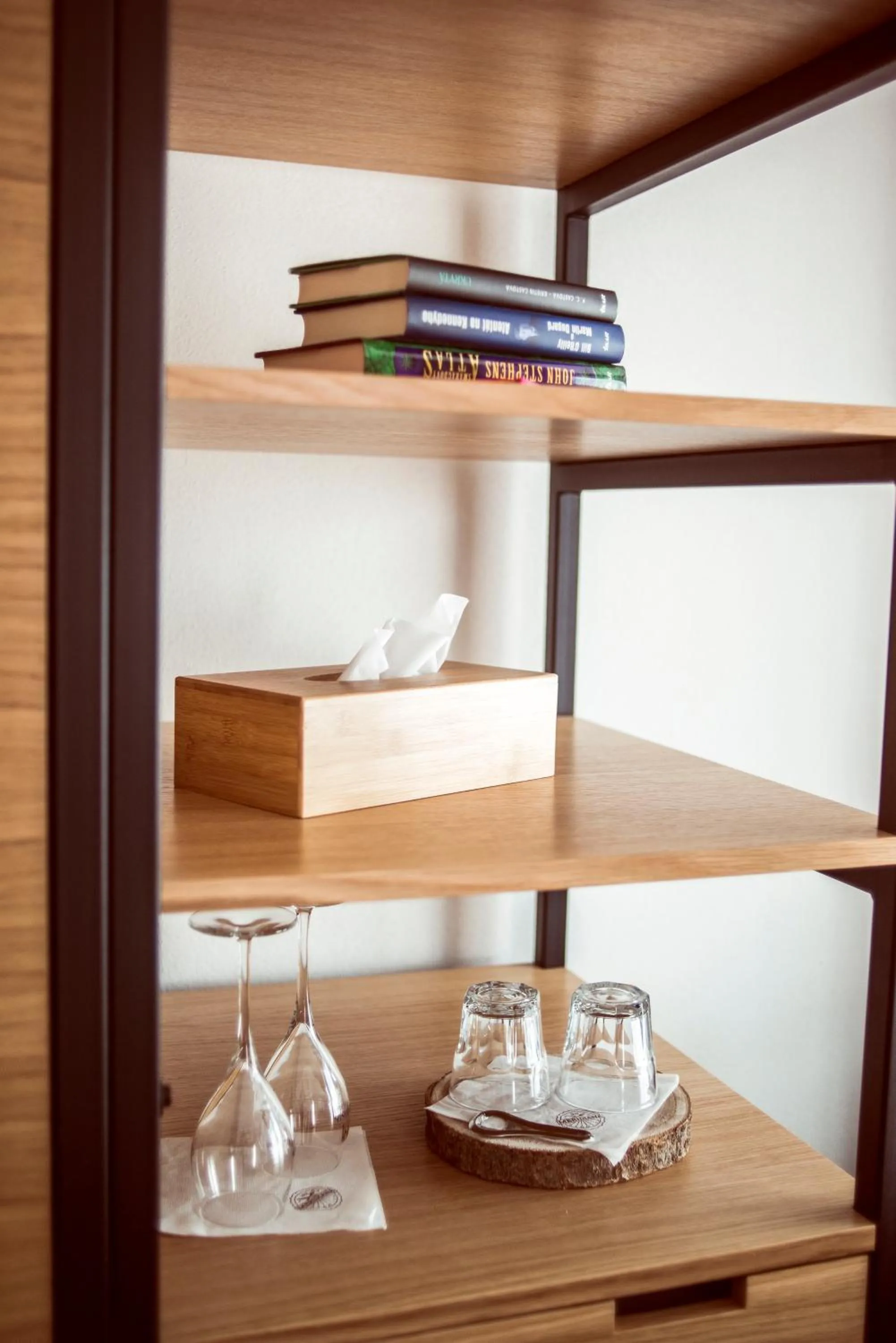 Library in Penzión & Wellness MERIDIANA Bojnice rezort