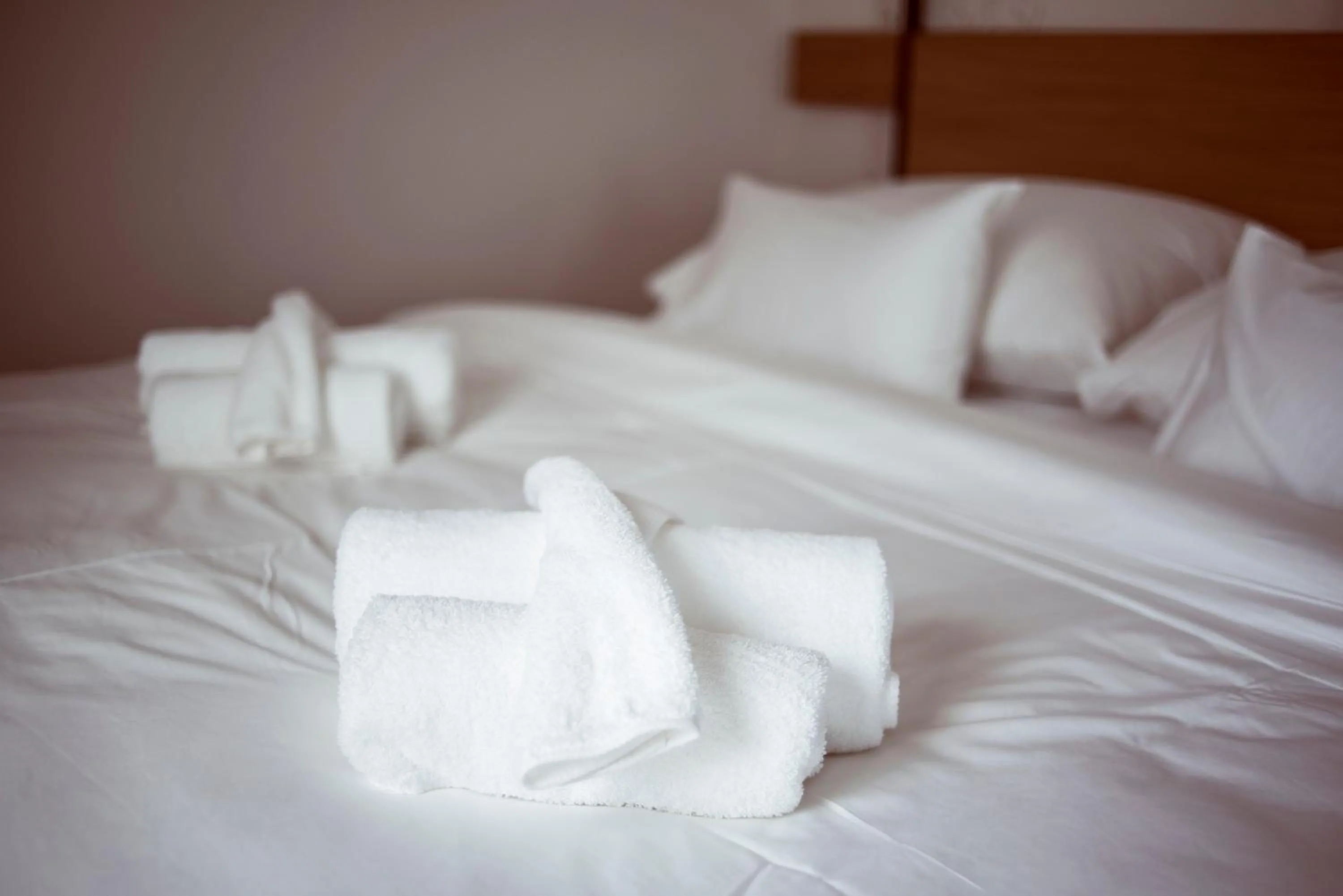 Photo of the whole room, Bed in Penzión & Wellness MERIDIANA Bojnice rezort