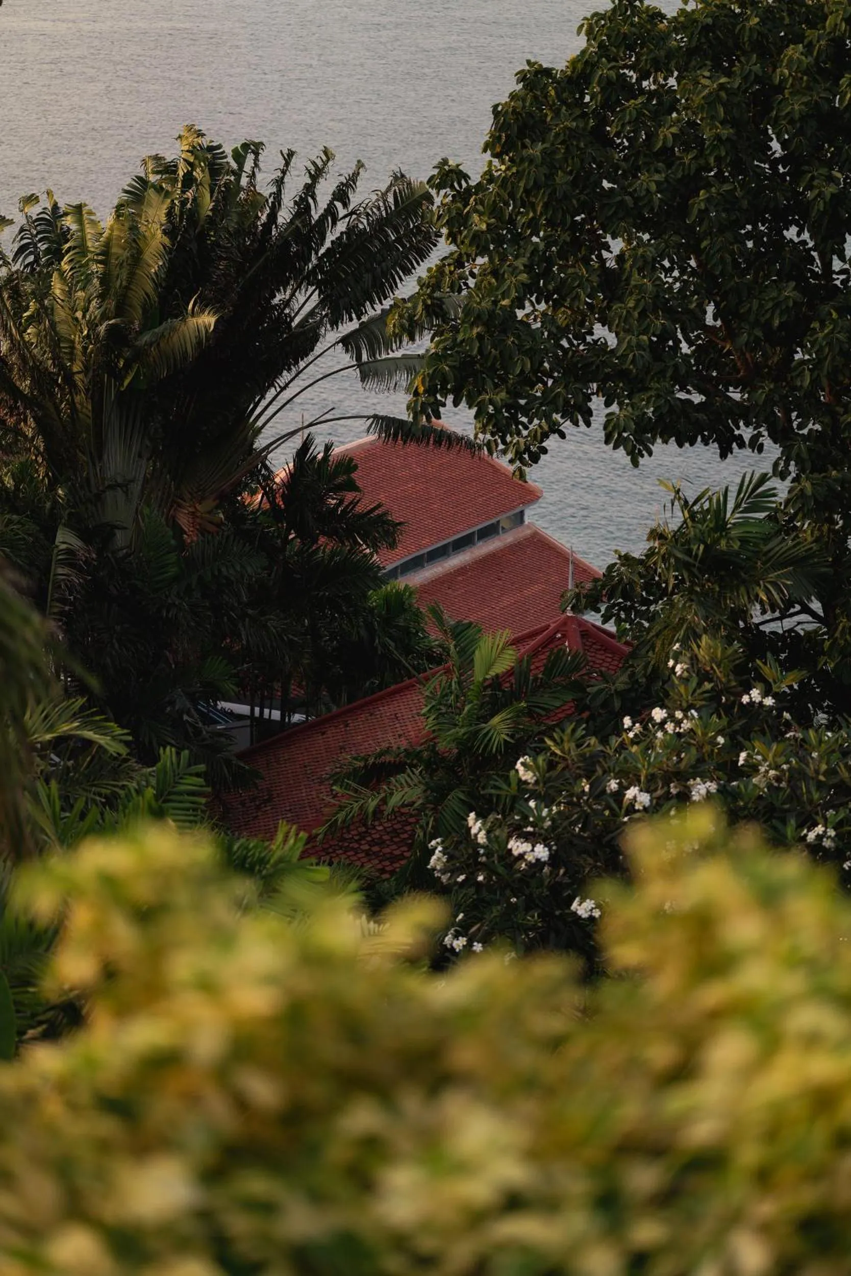 Garden in Amatara Welleisure Resort