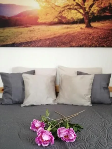 Apartmány U Stříbrných