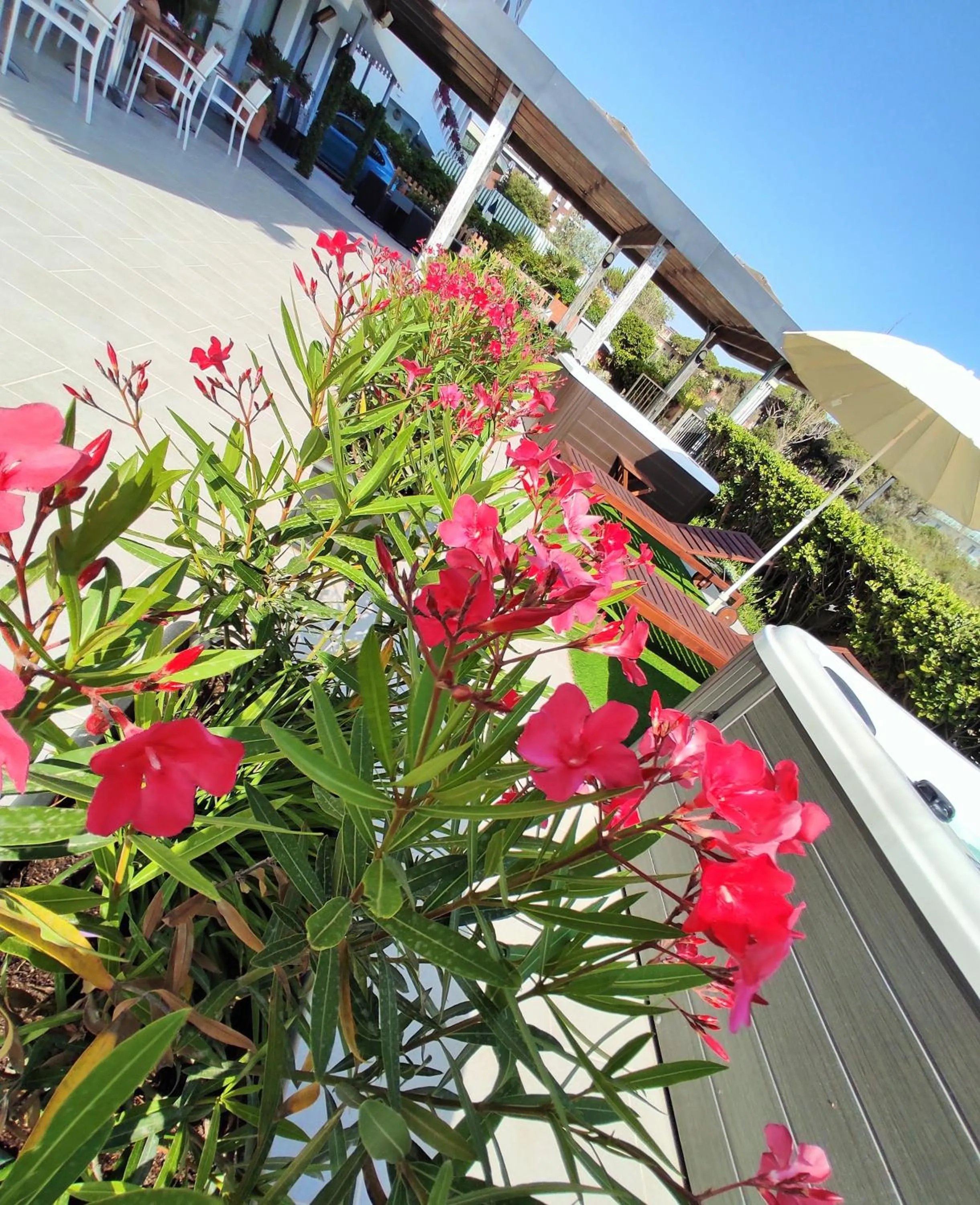 Garden view in Hotel Centrale