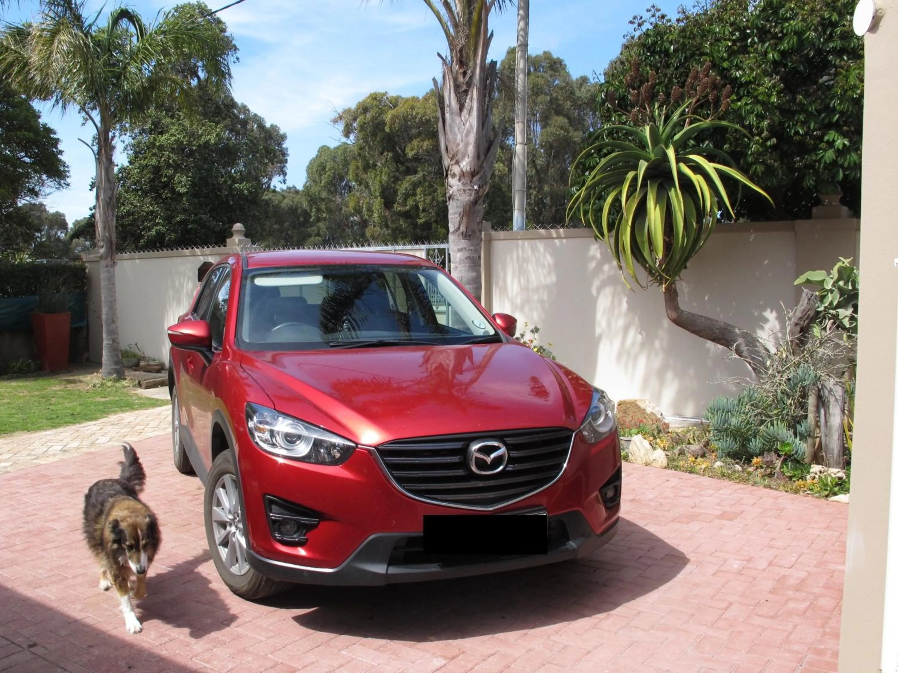 Other in Field's Rest