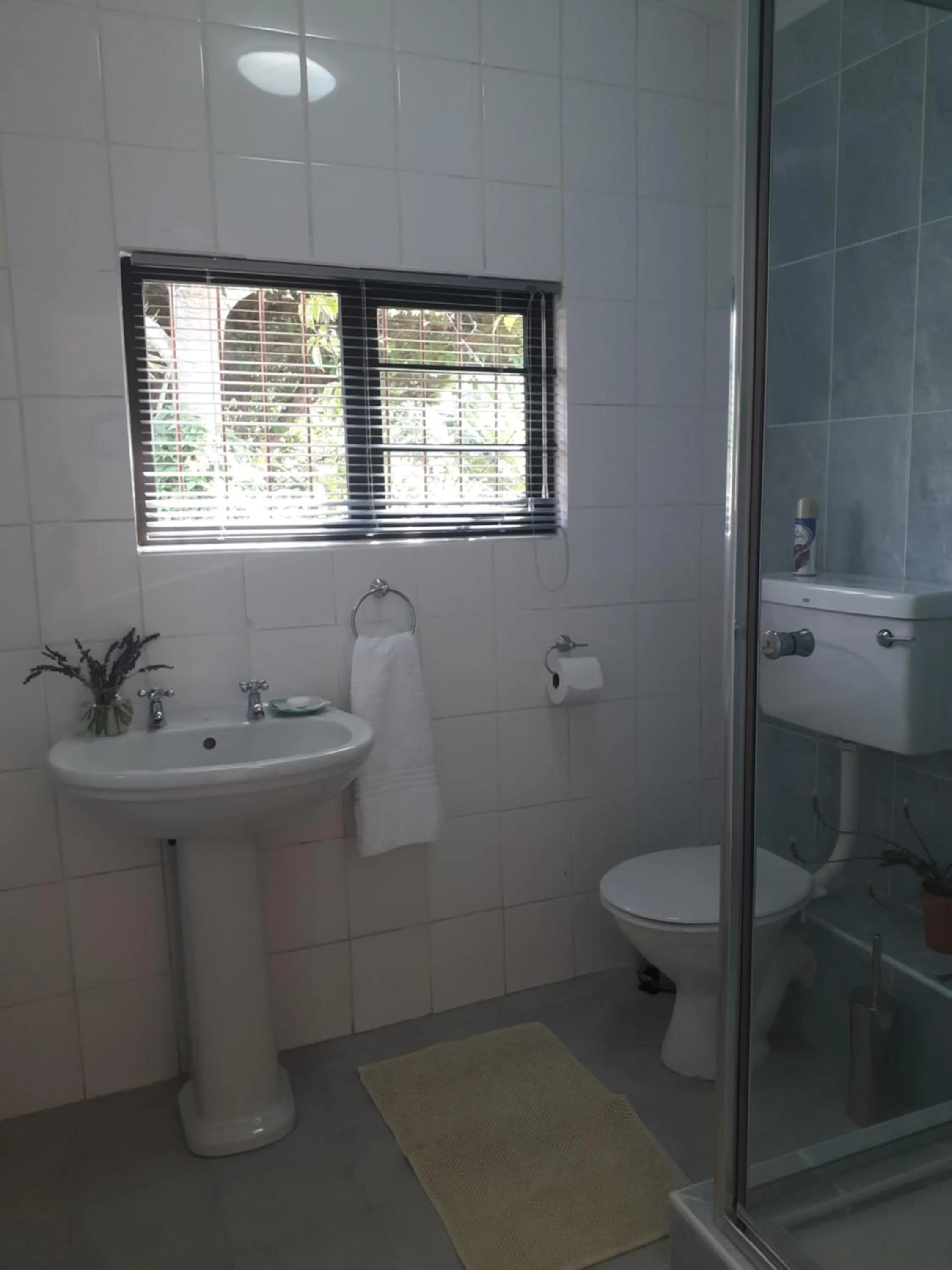 Bathroom in Field's Rest