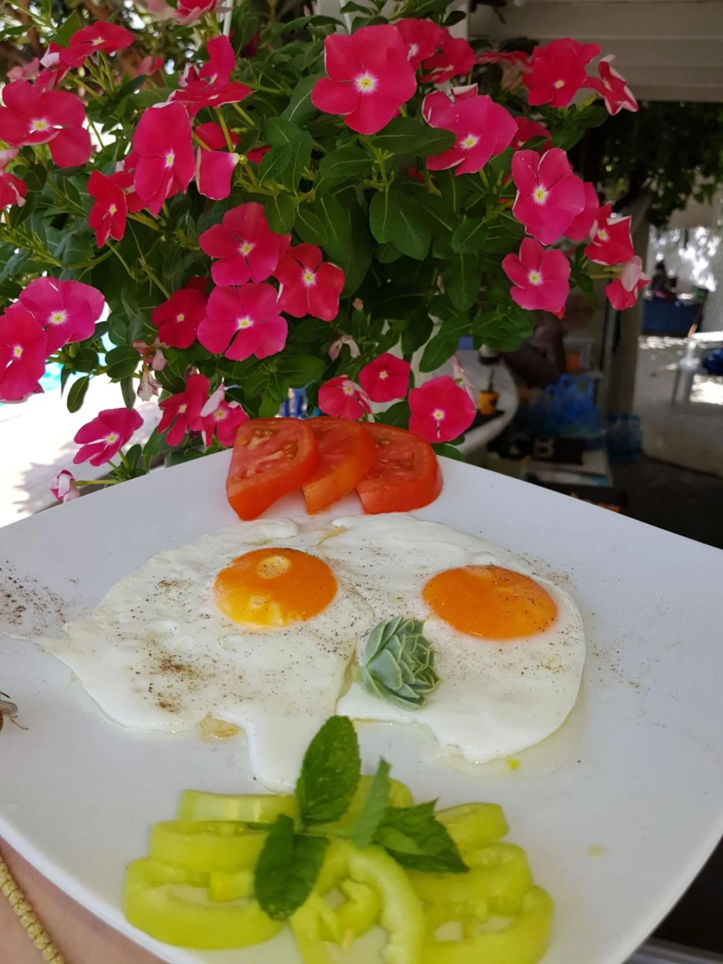 Breakfast in Hotel George