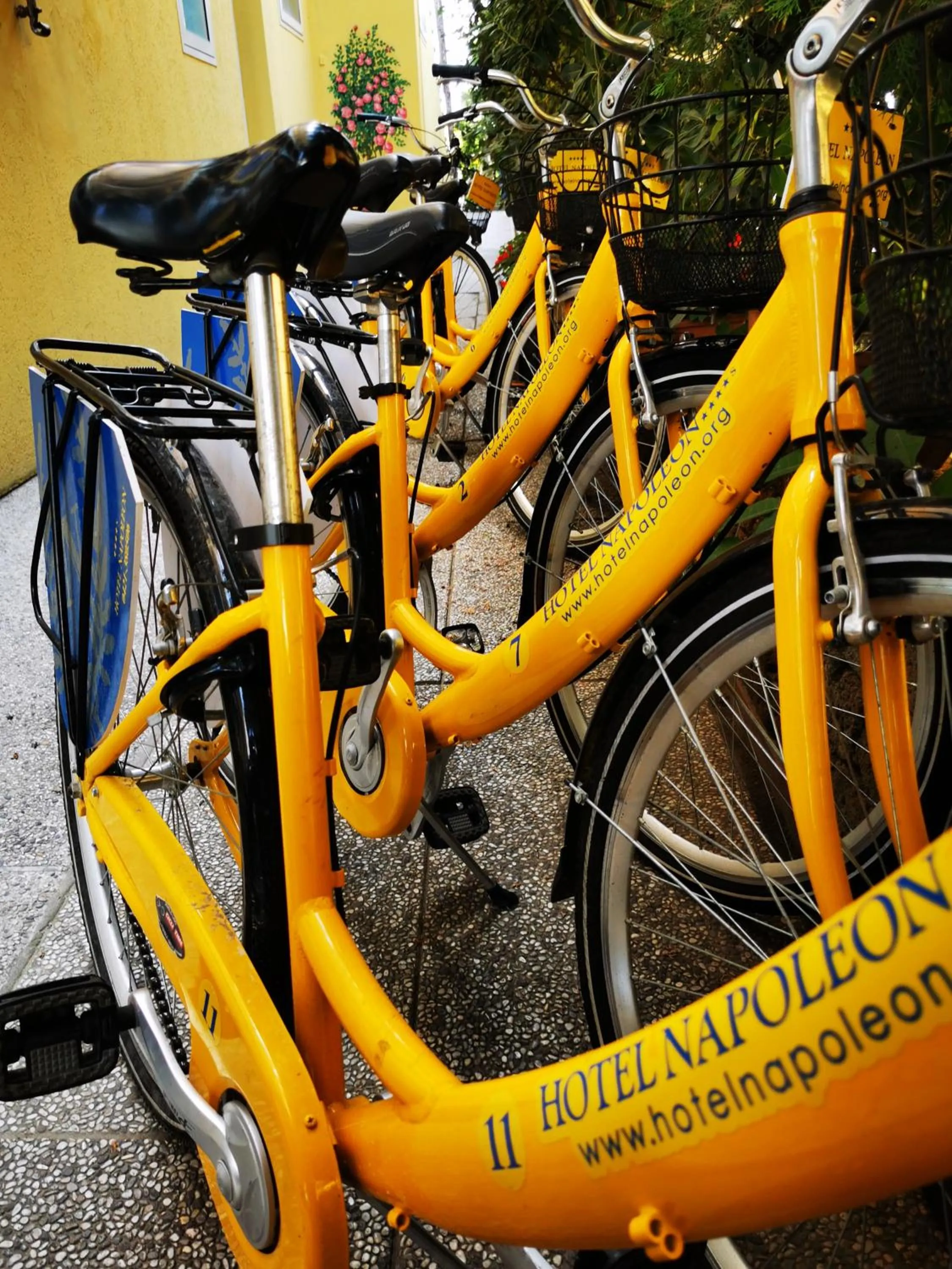 Cycling in Hotel Napoleon