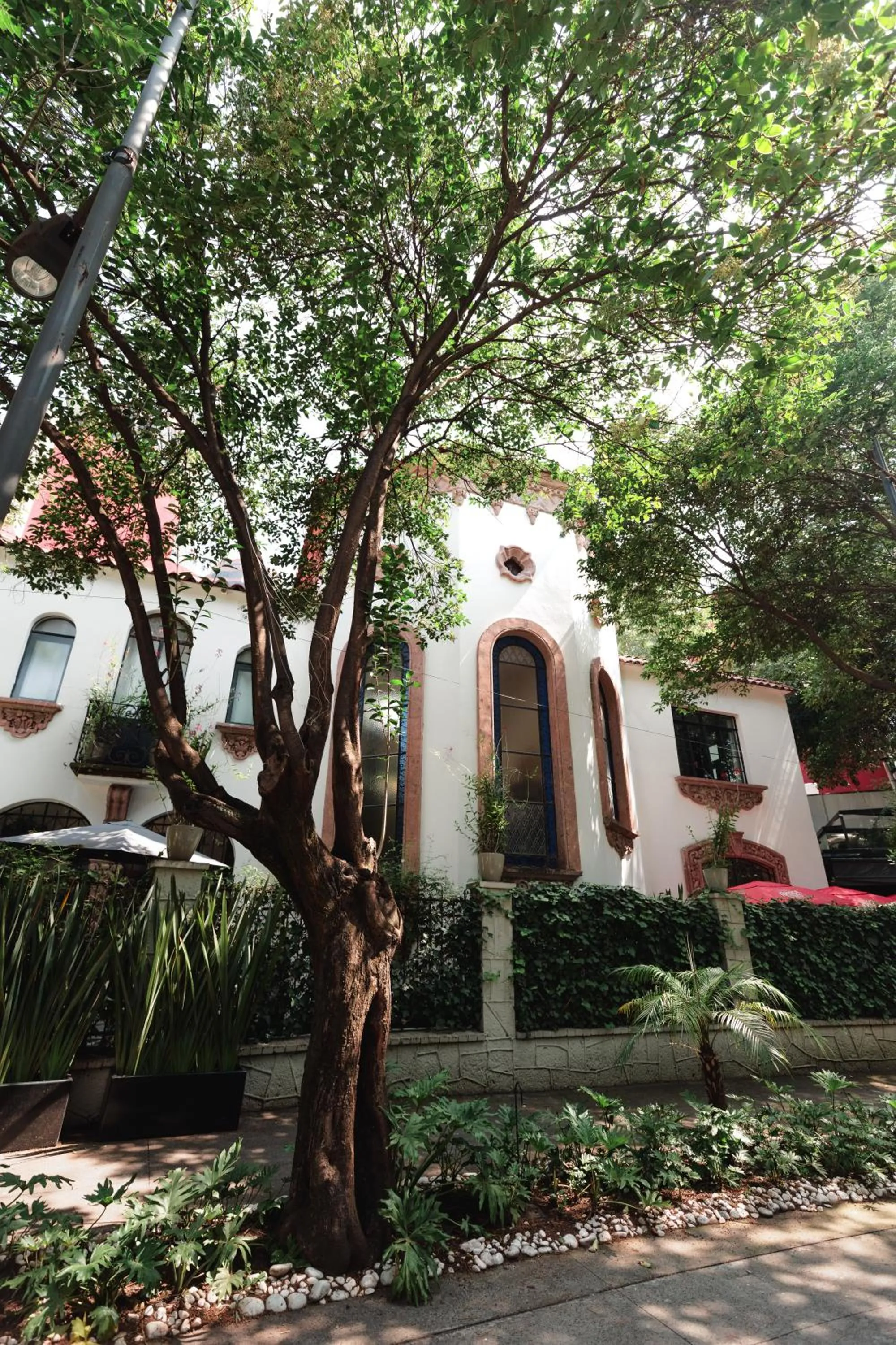 Property building in Orchid House Mexico City