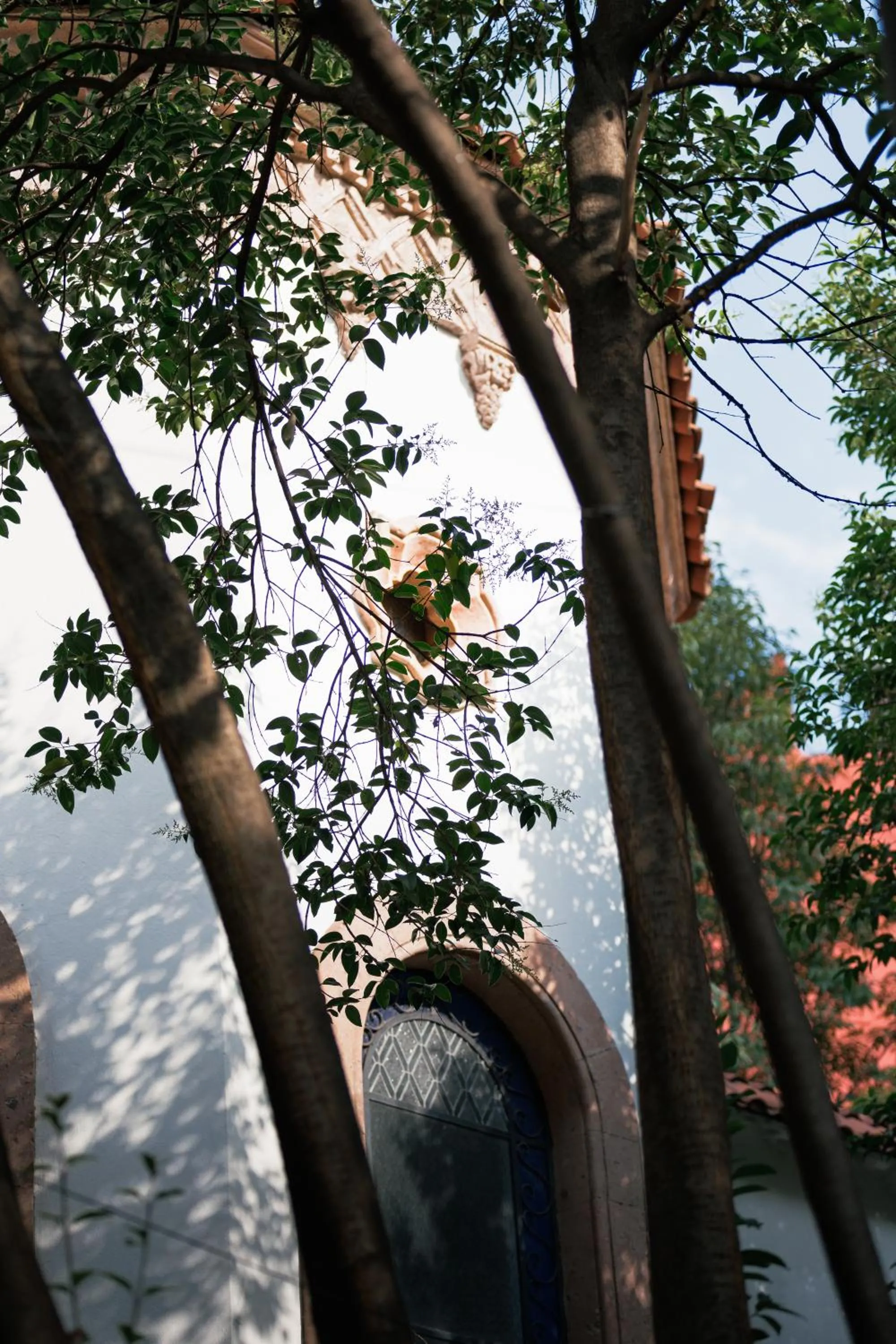 Natural landscape in Orchid House Mexico City