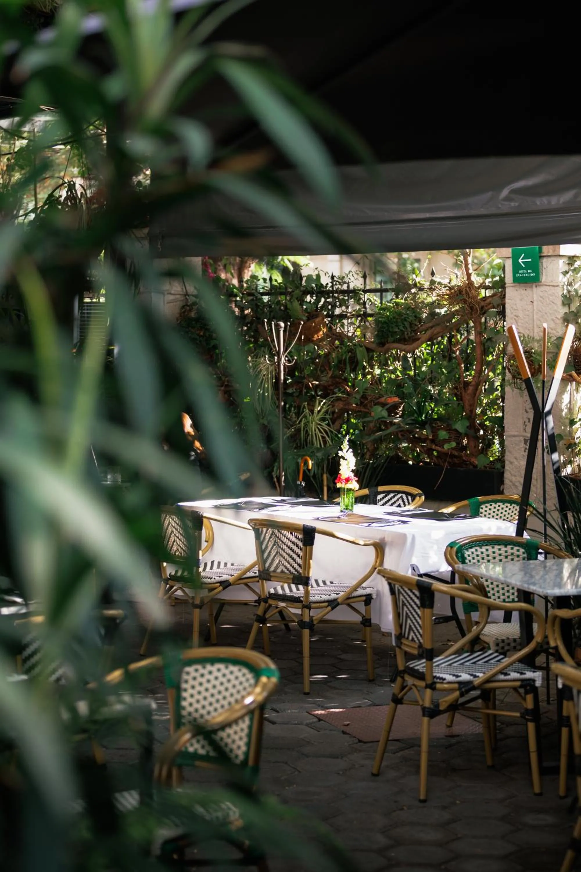 Restaurant/places to eat in Orchid House Mexico City