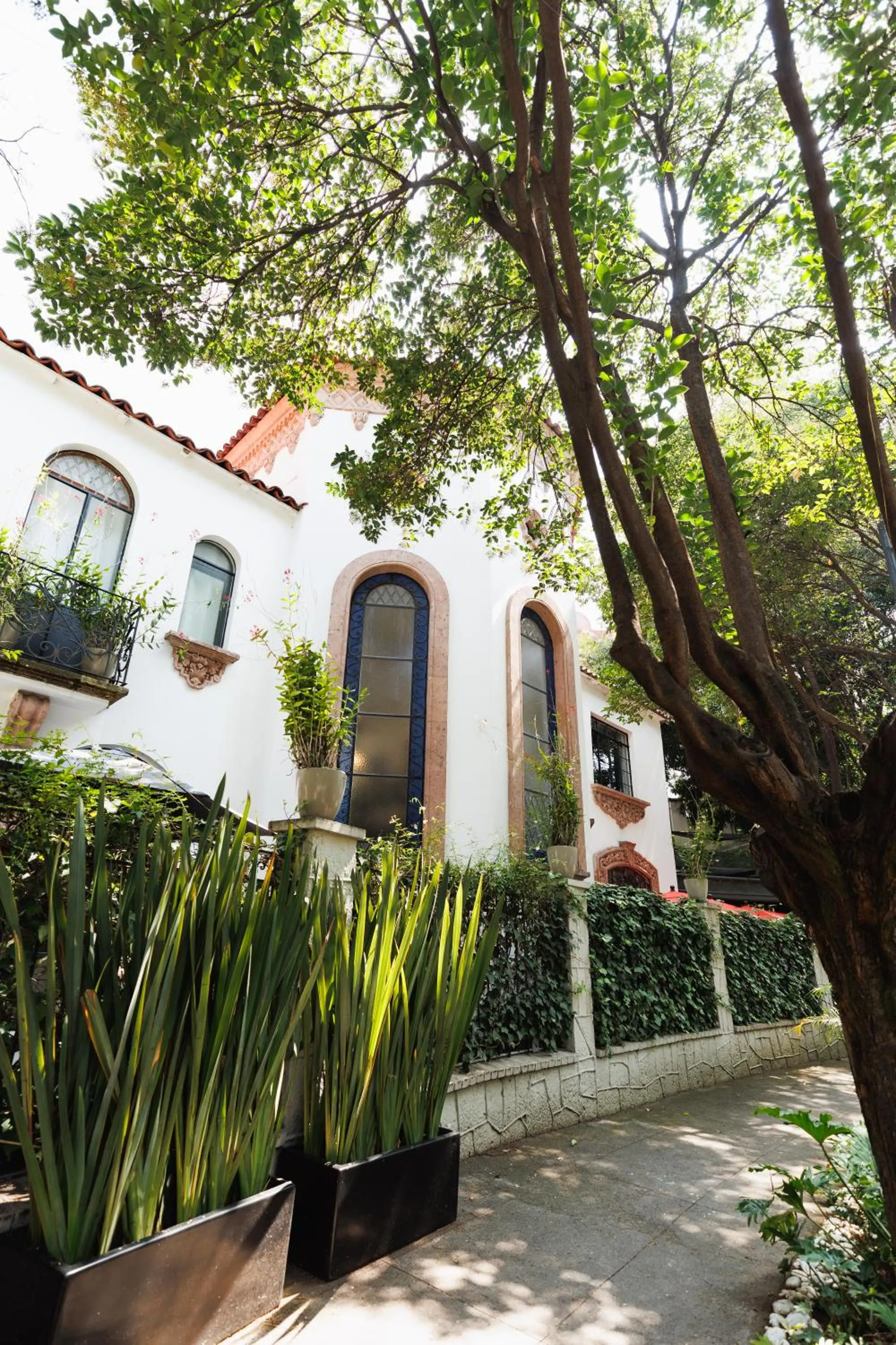 Property building in Orchid House Mexico City