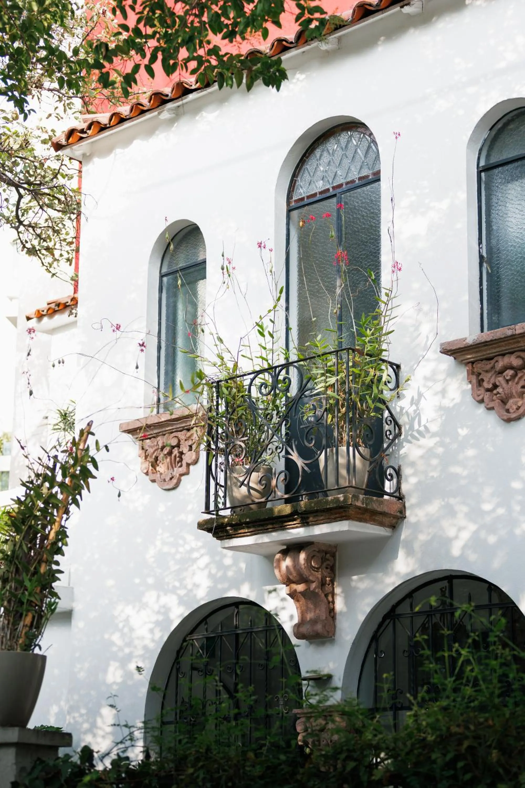 Property building in Orchid House Mexico City