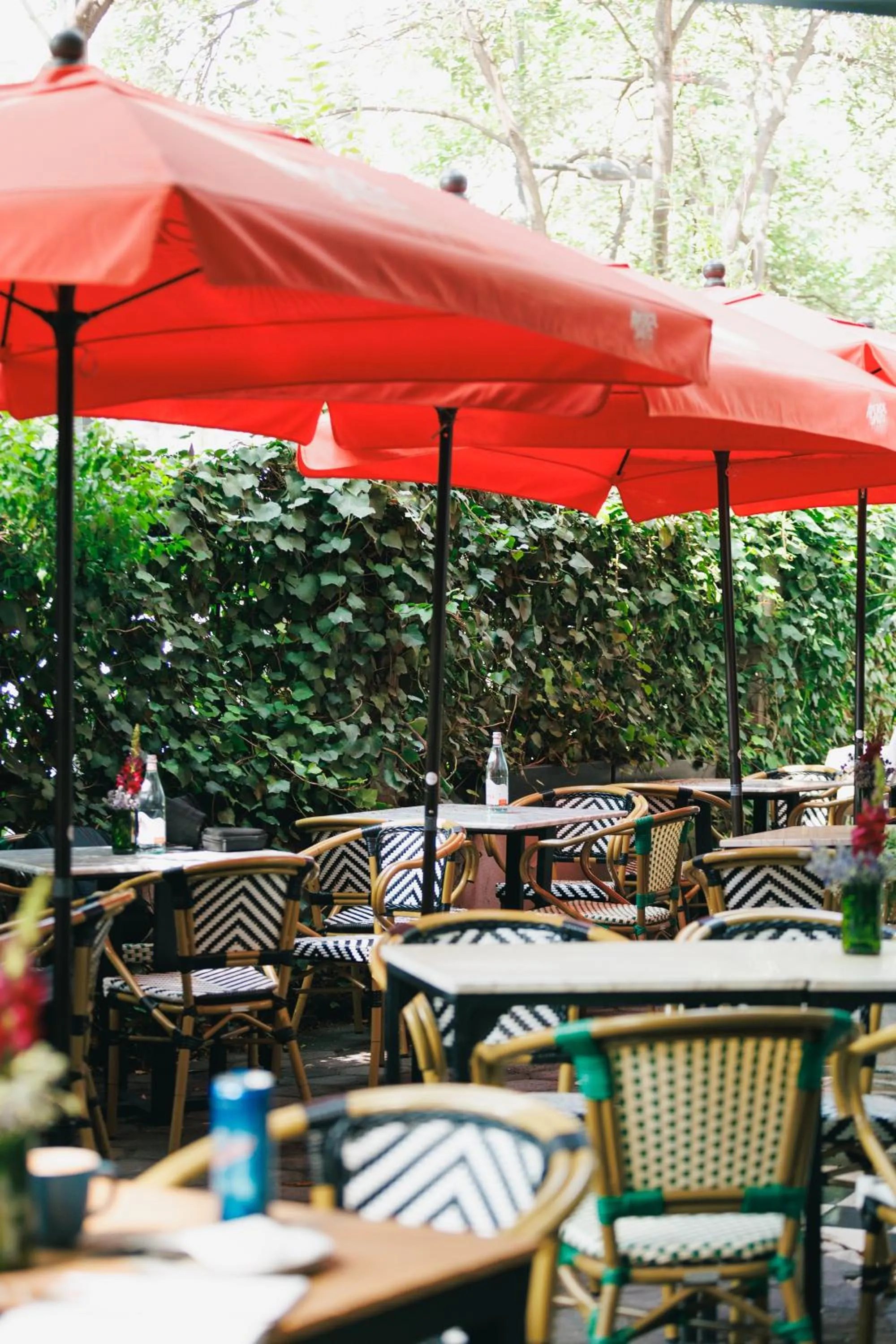 Restaurant/places to eat in Orchid House Mexico City