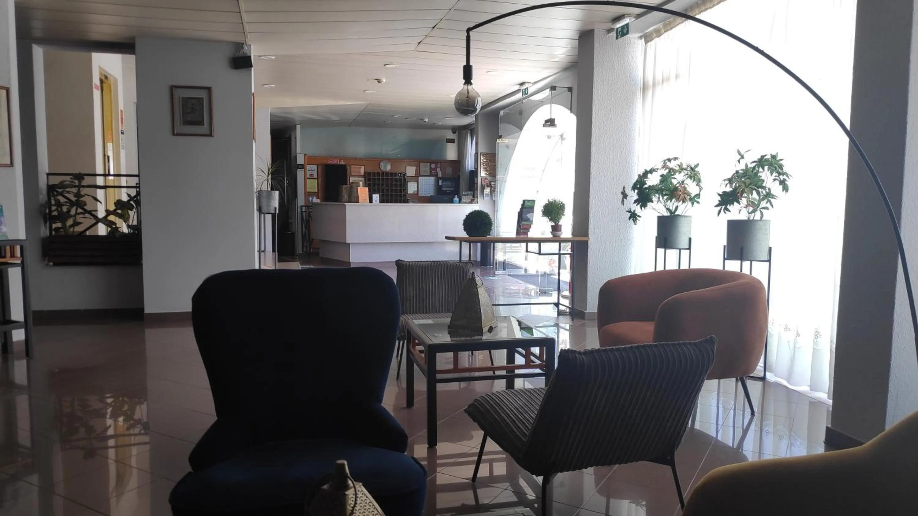 Lounge or bar in Hotel Alnacir