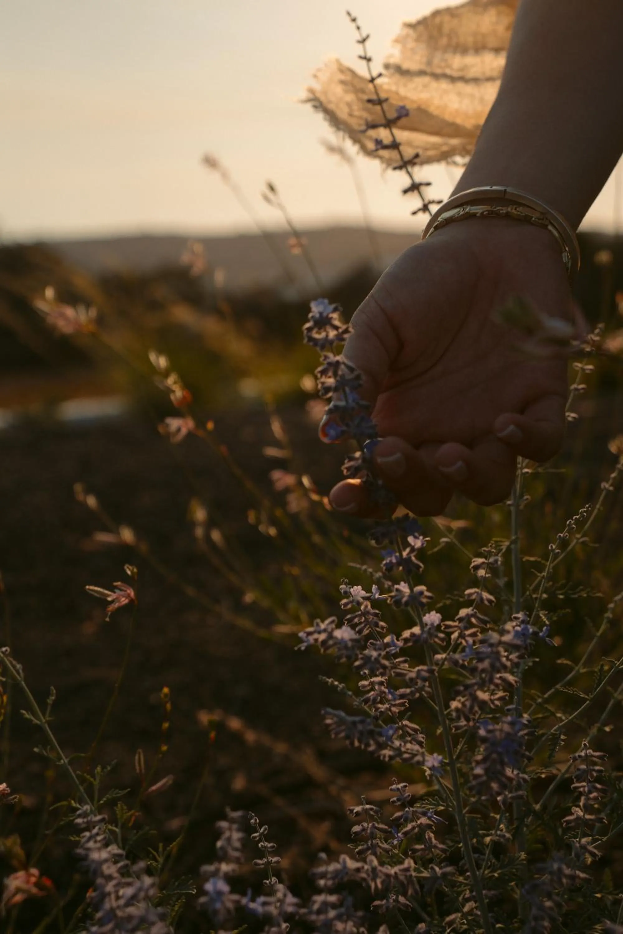 Garden in Black Rose Beach Suites