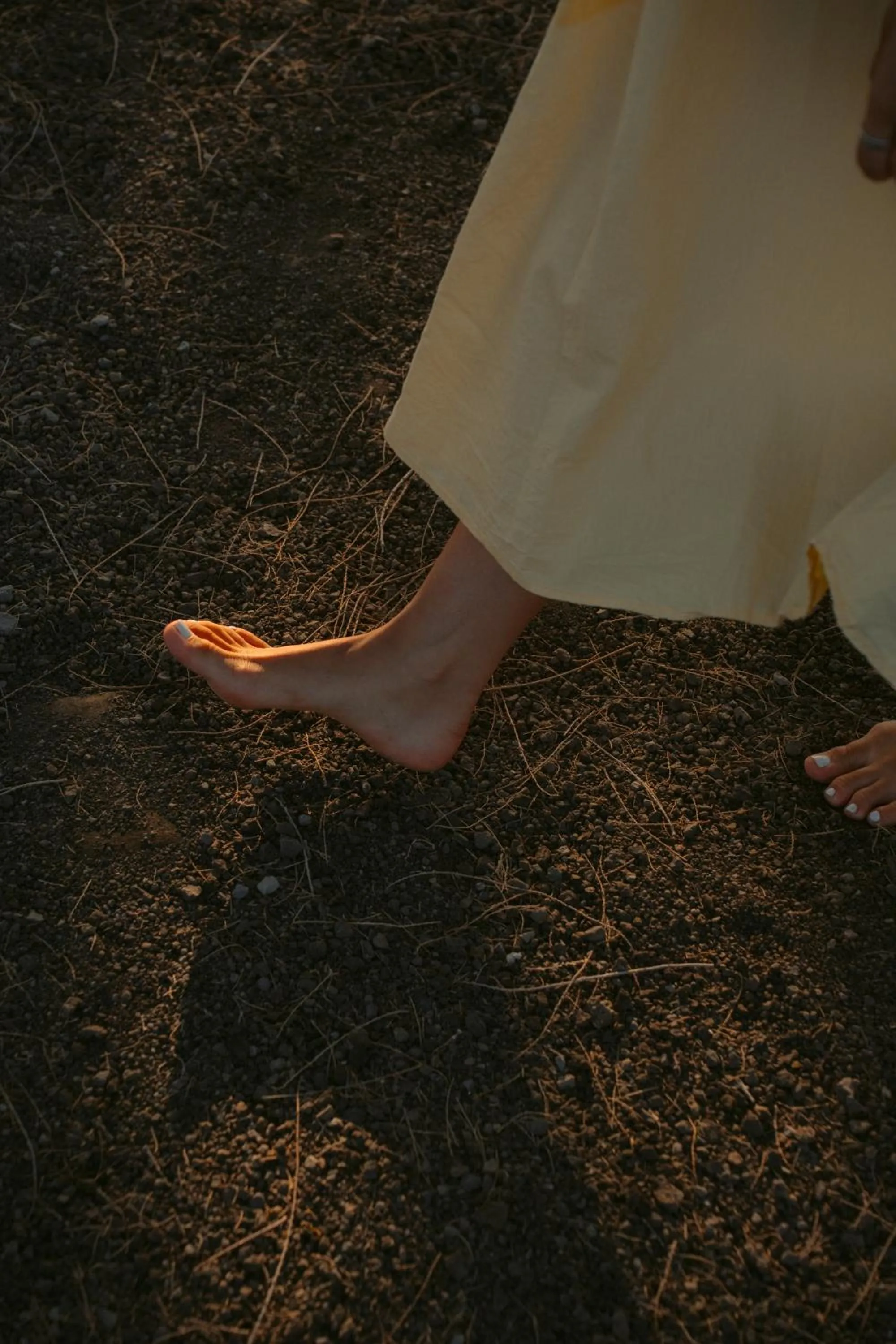 Garden in Black Rose Beach Suites