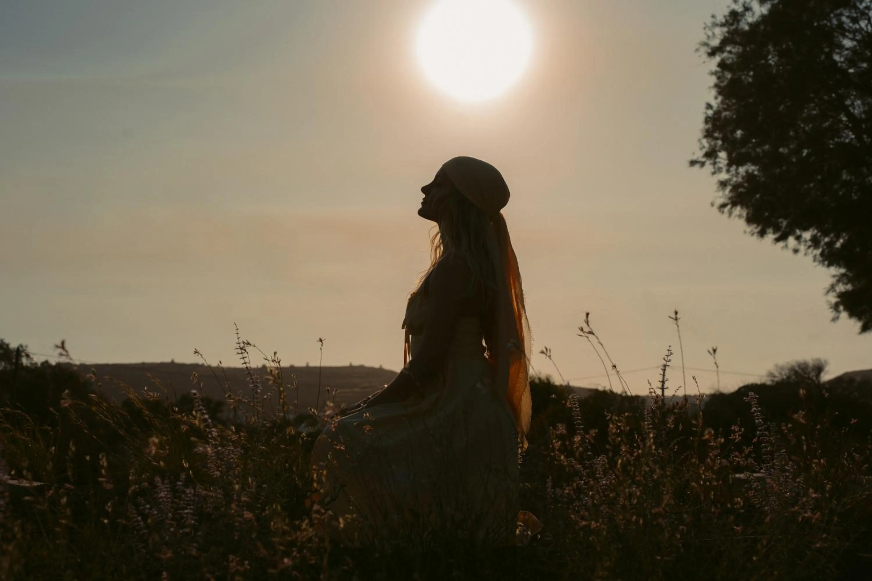 Garden in Black Rose Beach Suites