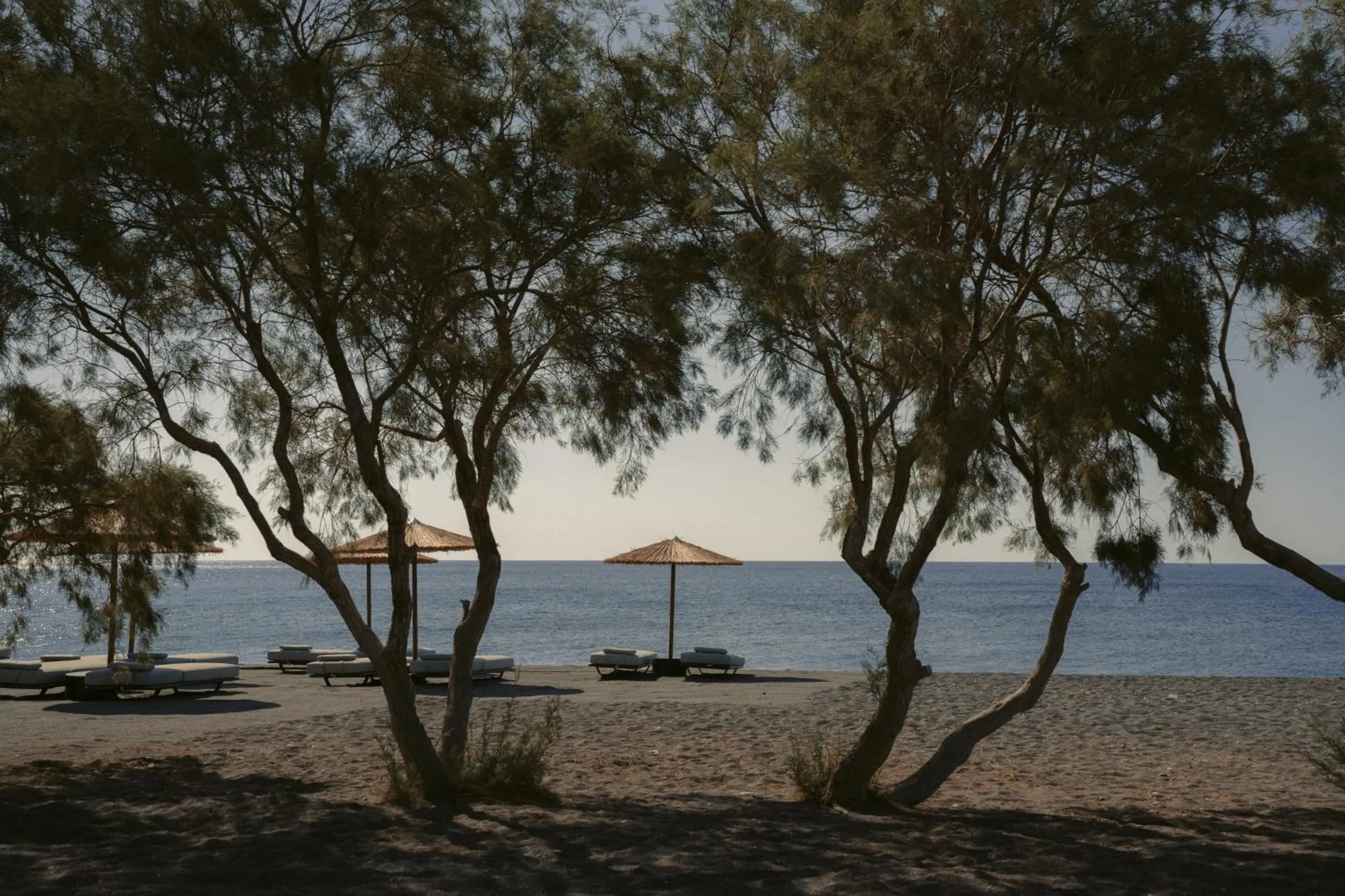 Beach in Black Rose Beach Suites