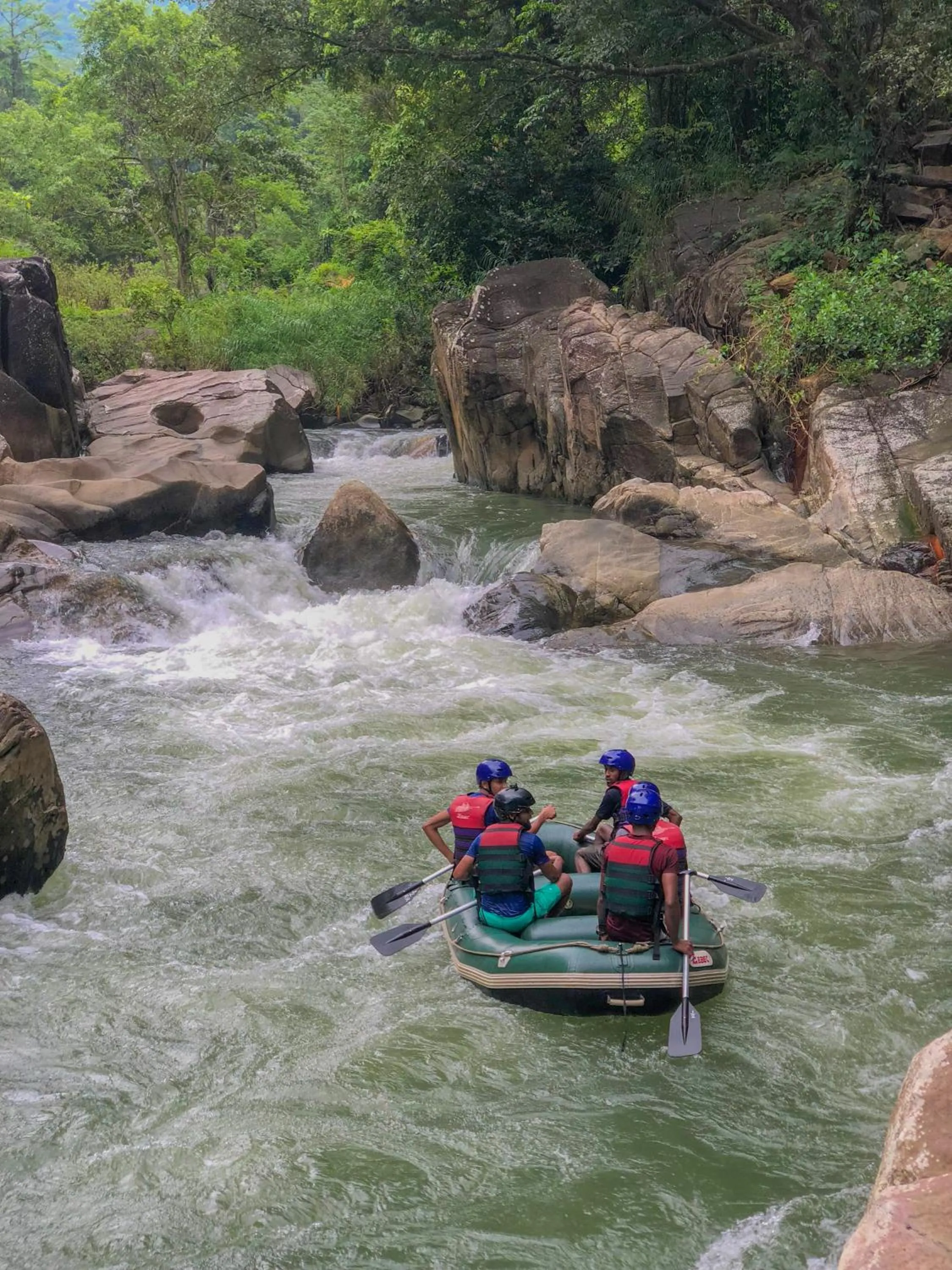 Activities in Tree Houses by Jungle River