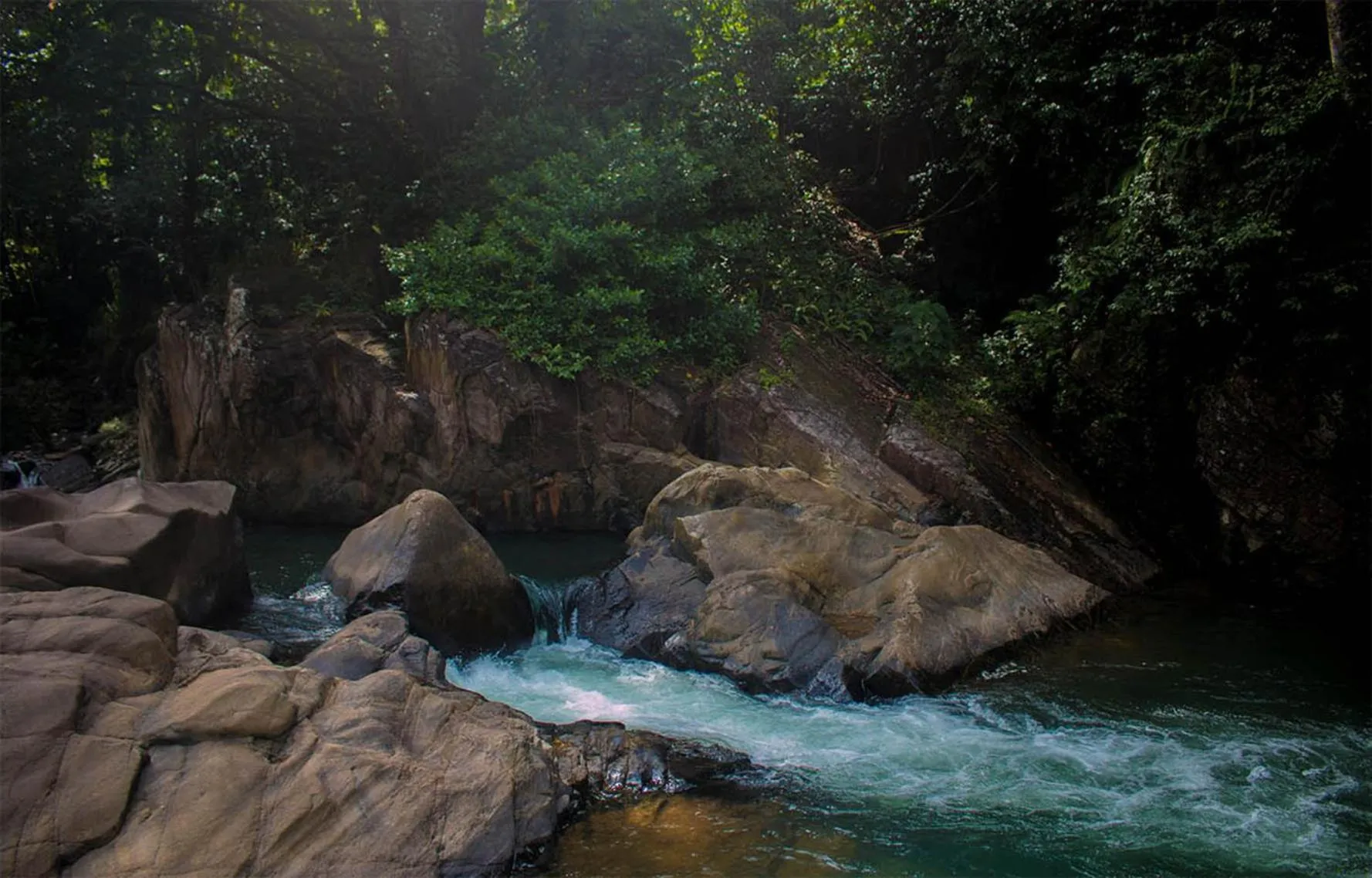 Swimming pool in Tree Houses by Jungle River