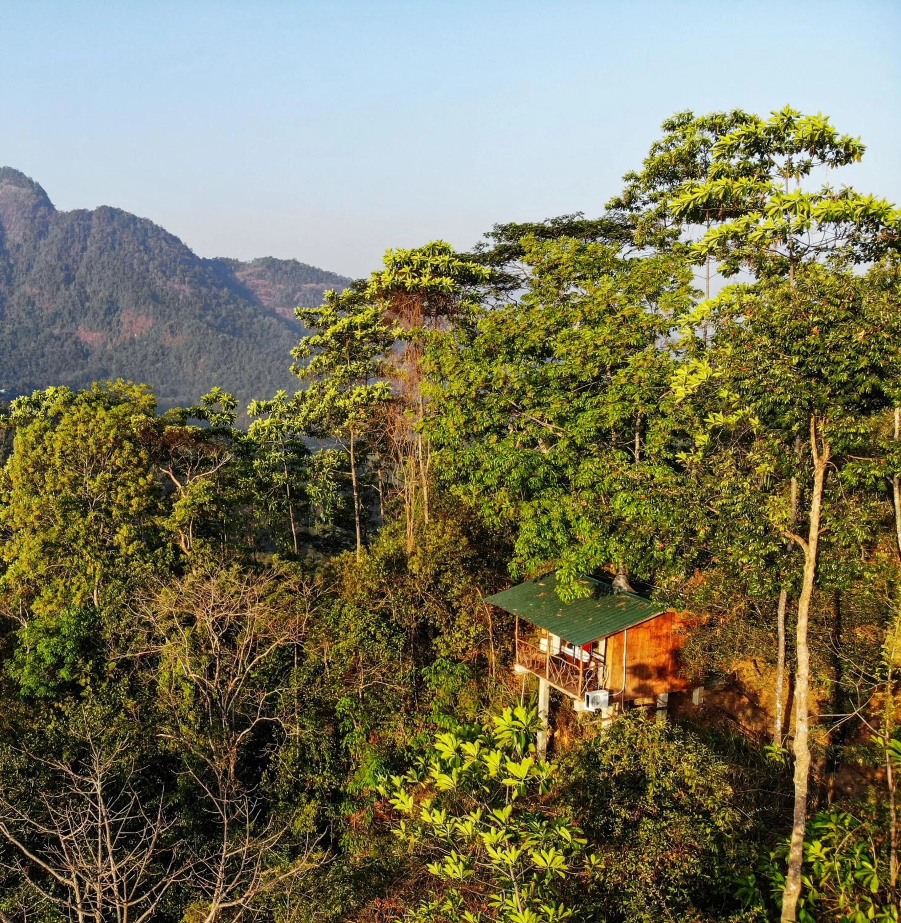 Bird's eye view in Tree Houses by Jungle River