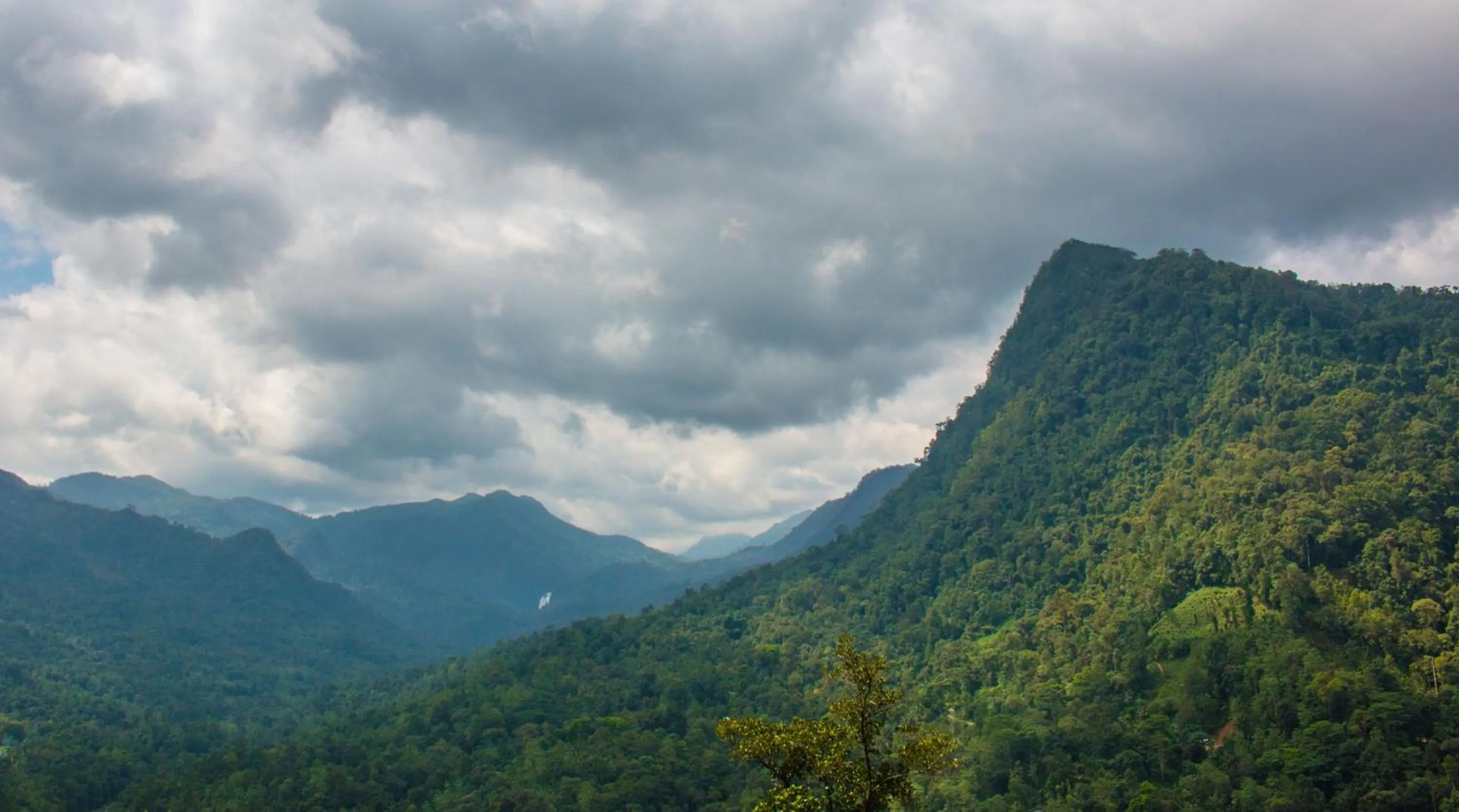 Mountain view in Tree Houses by Jungle River