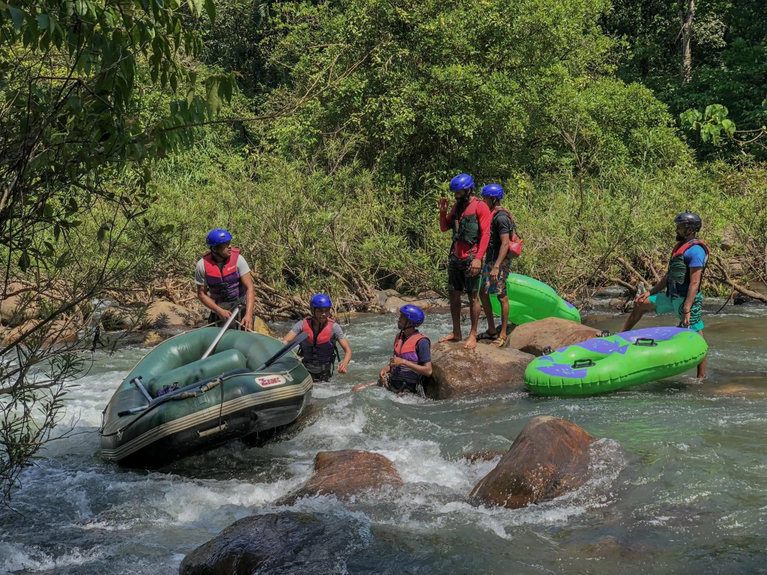 Activities in Tree Houses by Jungle River