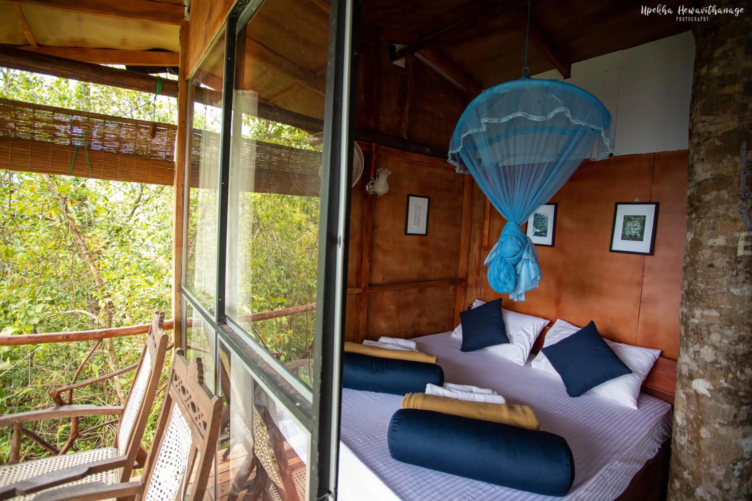 Tree Houses by Jungle River