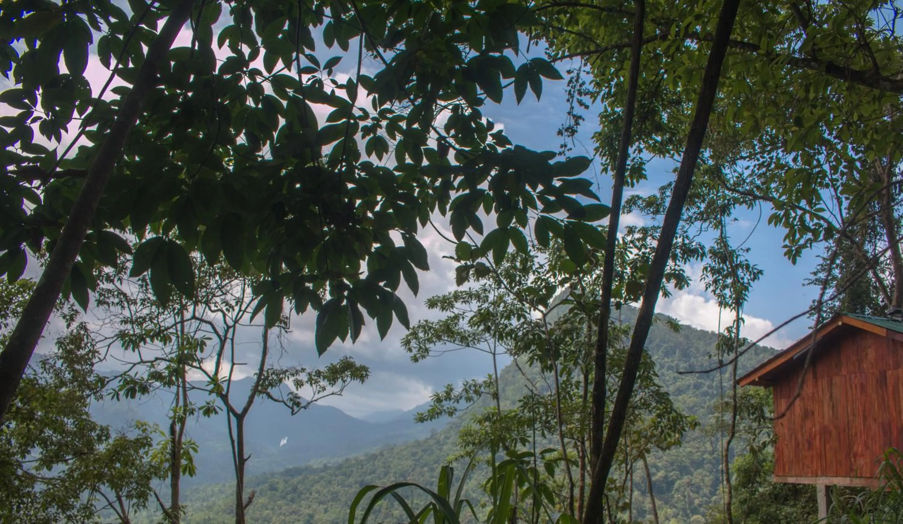 Landmark view in Tree Houses by Jungle River