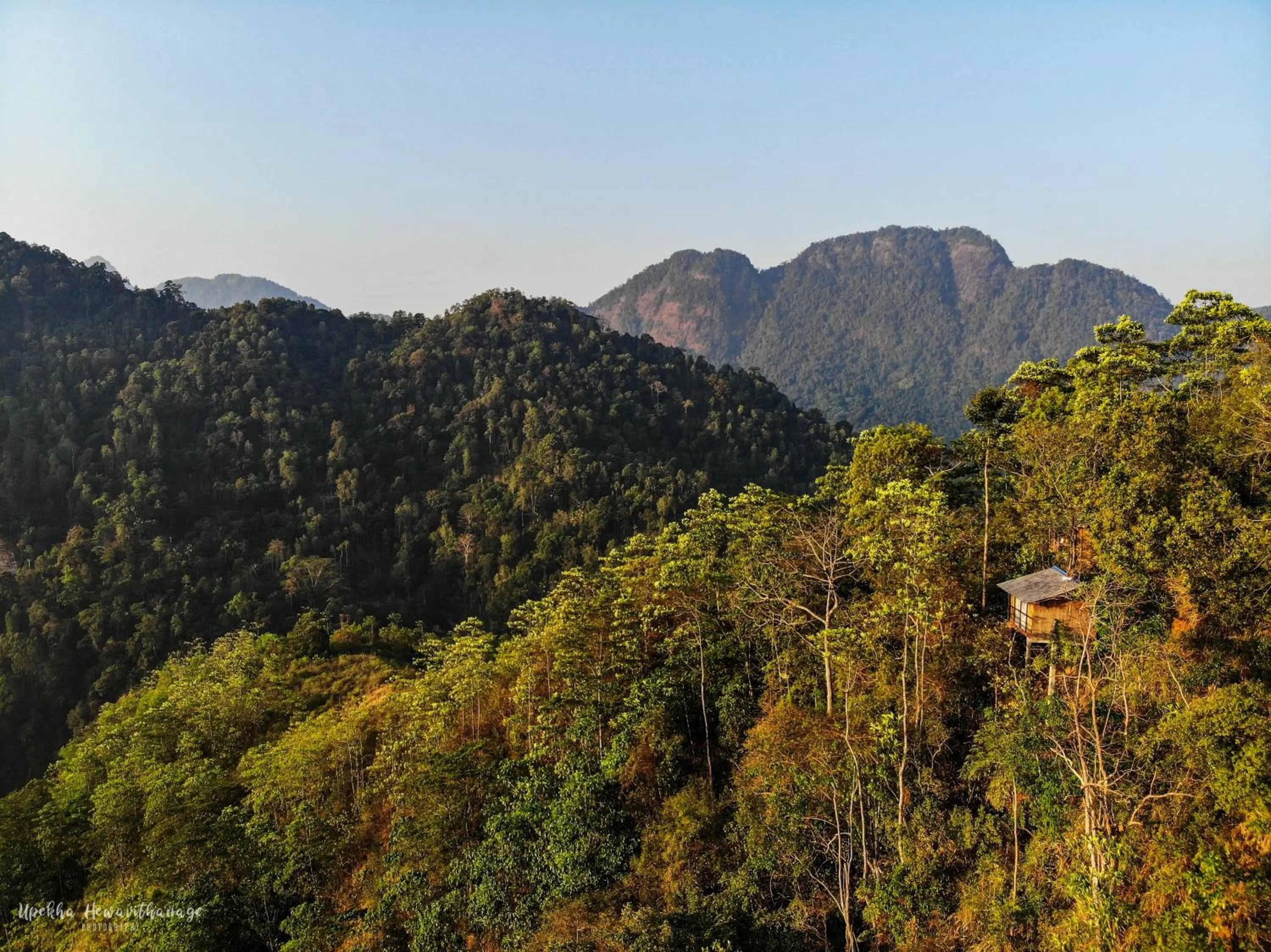 Mountain view in Tree Houses by Jungle River