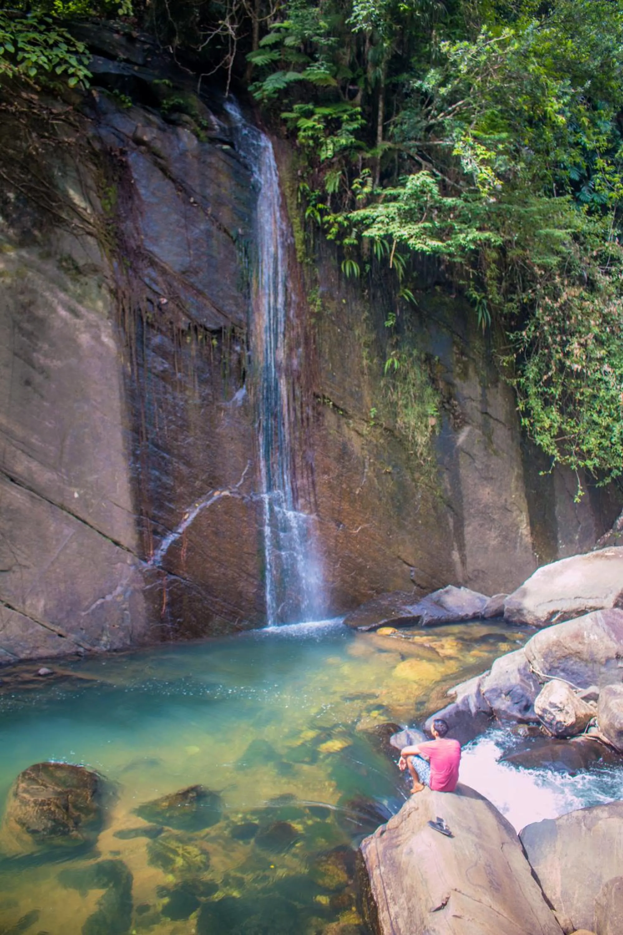 Swimming pool in Tree Houses by Jungle River