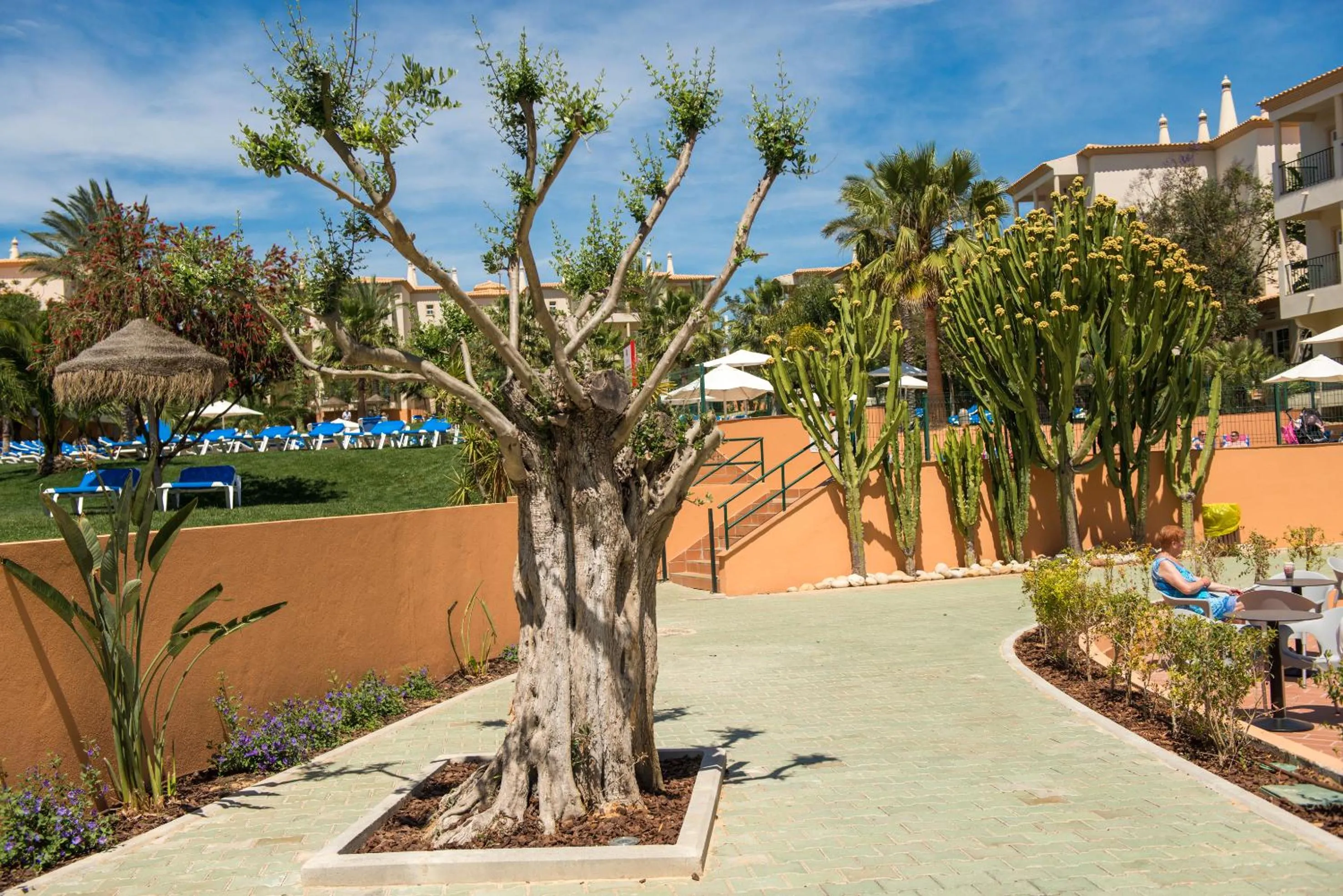 Patio in 3HB Clube Humbria - All Inclusive