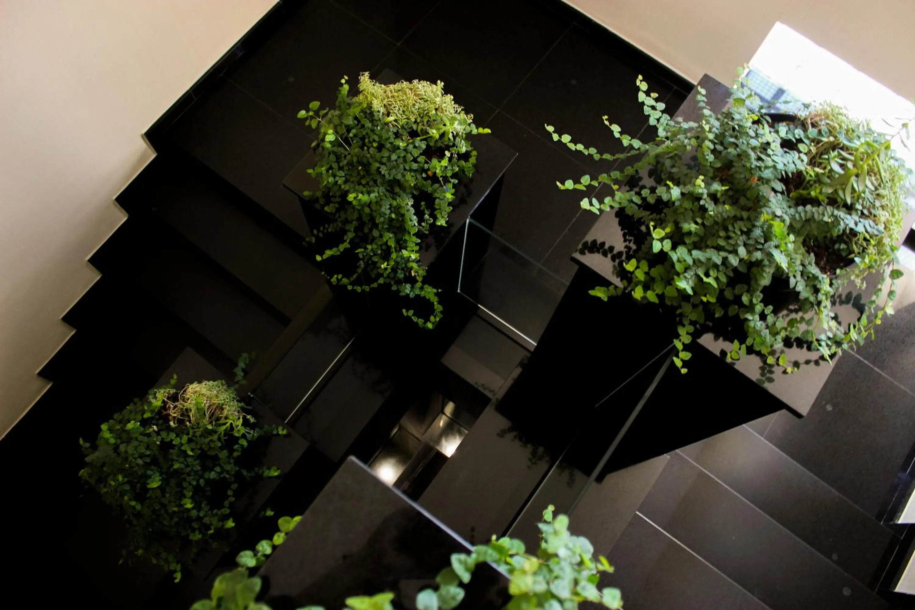 Property building in Hotel Nacional