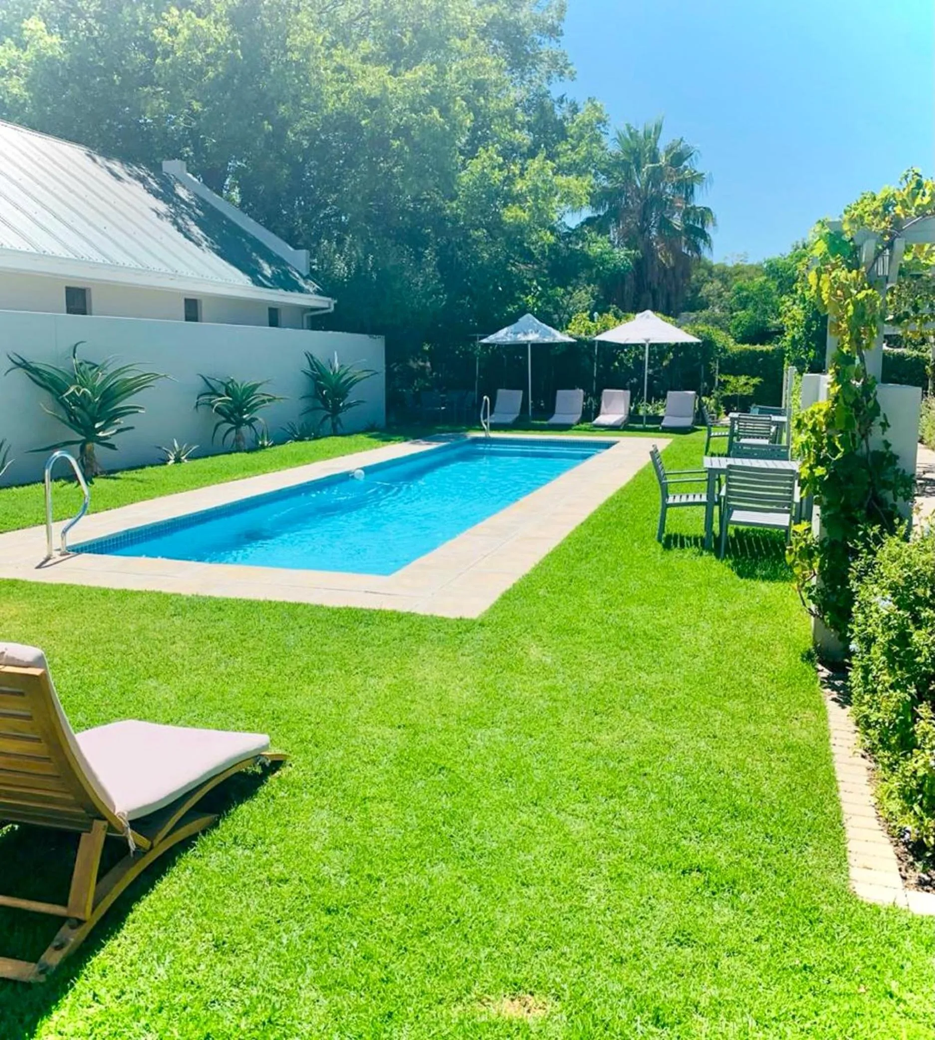 Garden in Monte Vista Boutique Hotel