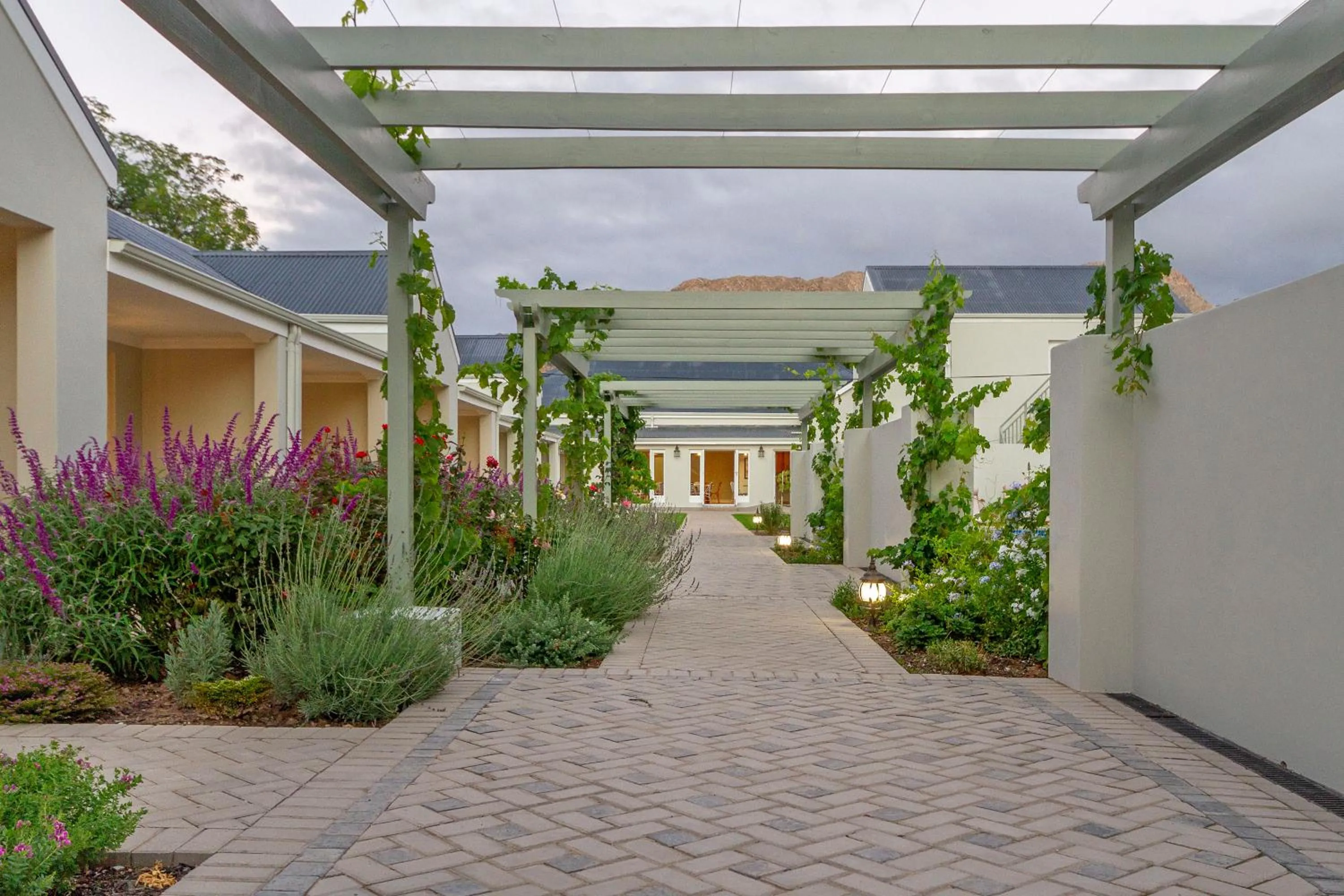 Garden in Monte Vista Boutique Hotel