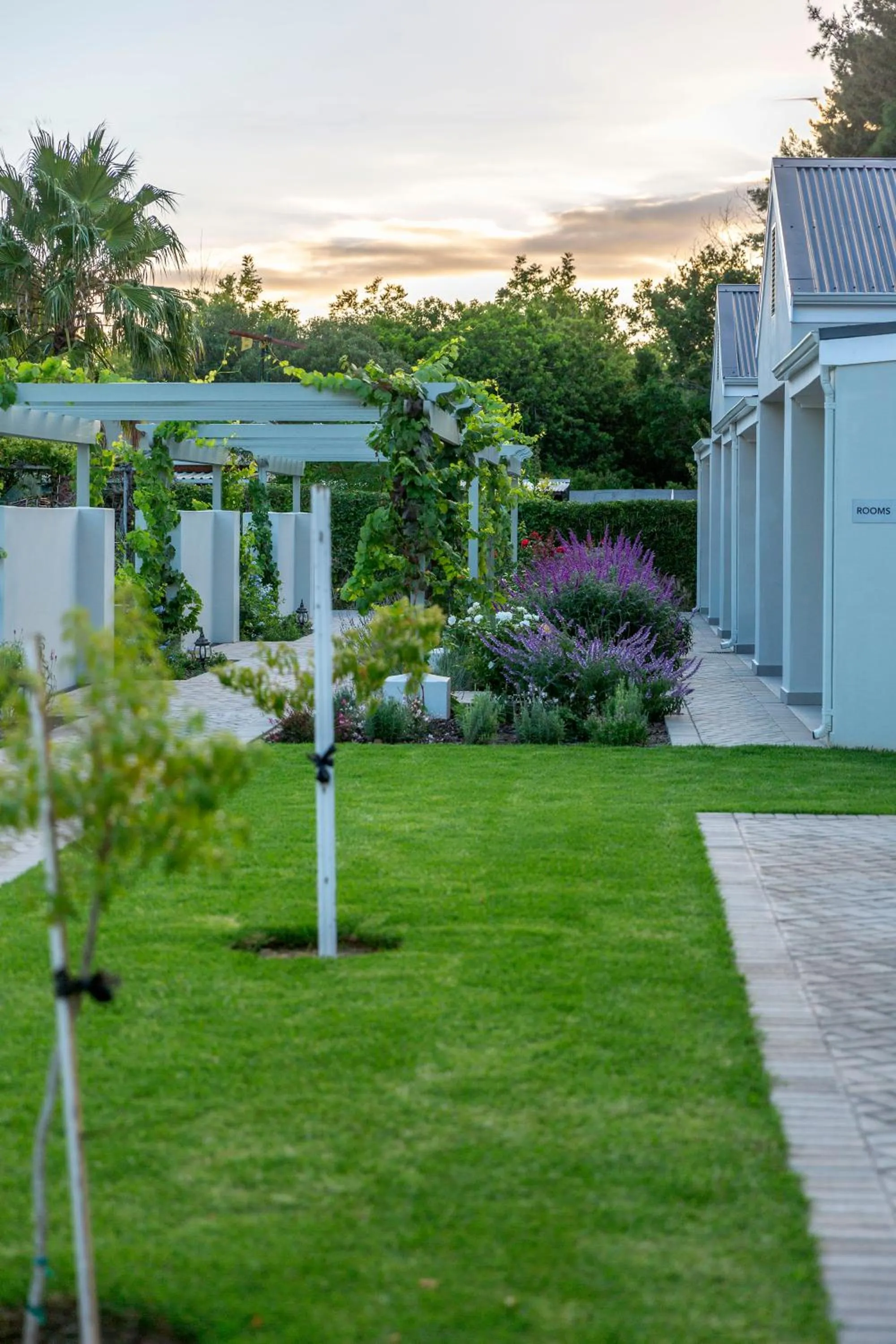 Garden in Monte Vista Boutique Hotel