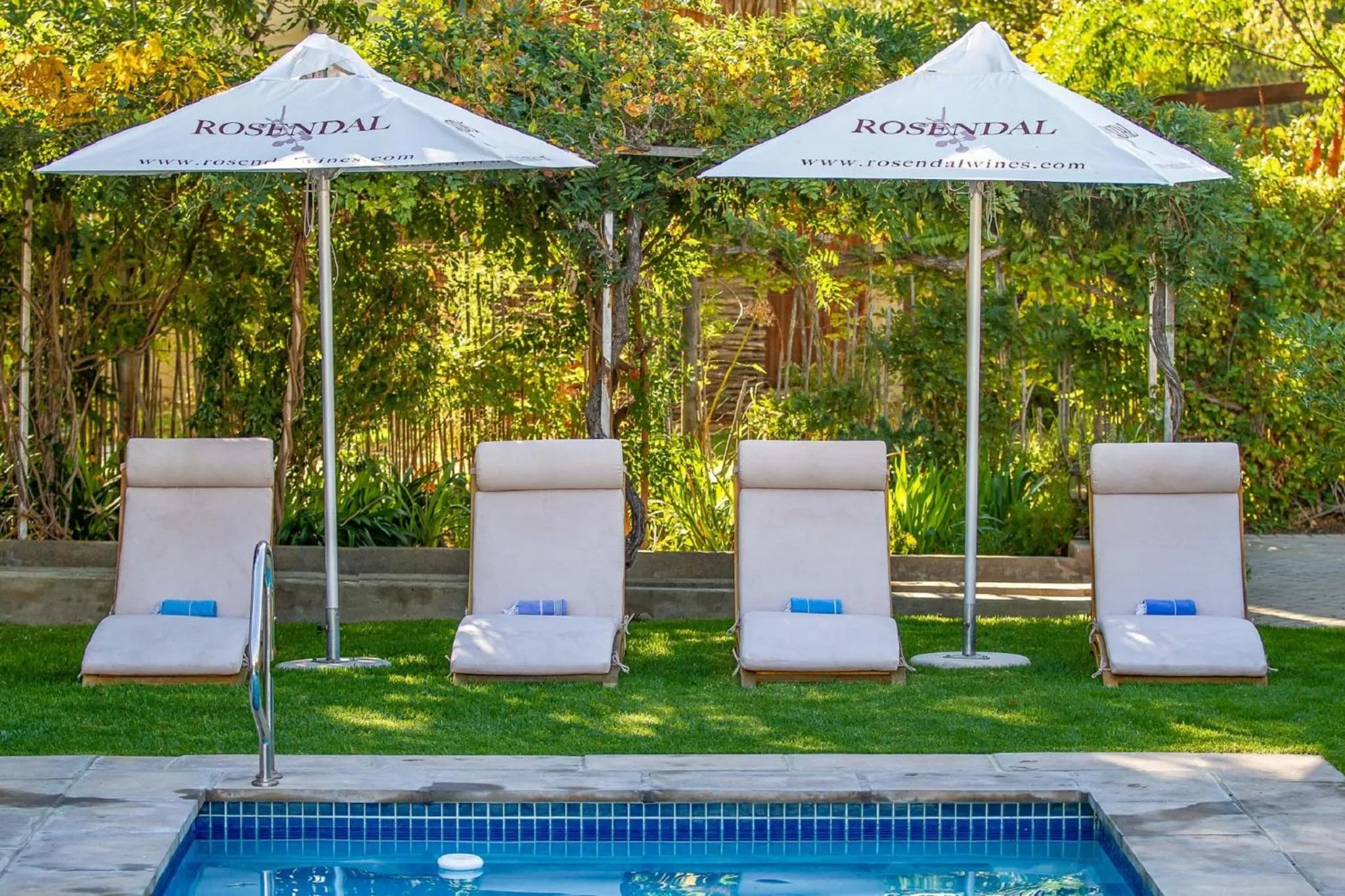 Garden in Monte Vista Boutique Hotel