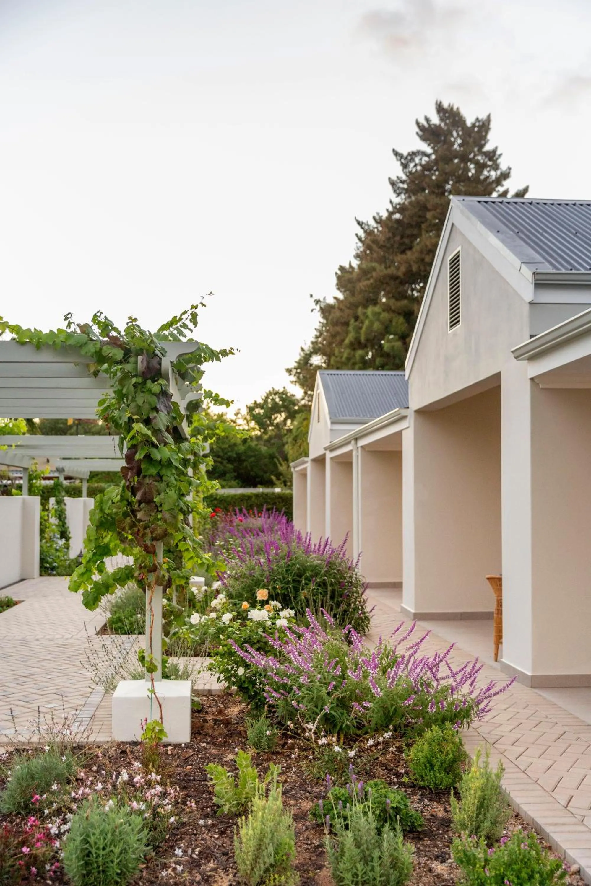 Garden in Monte Vista Boutique Hotel