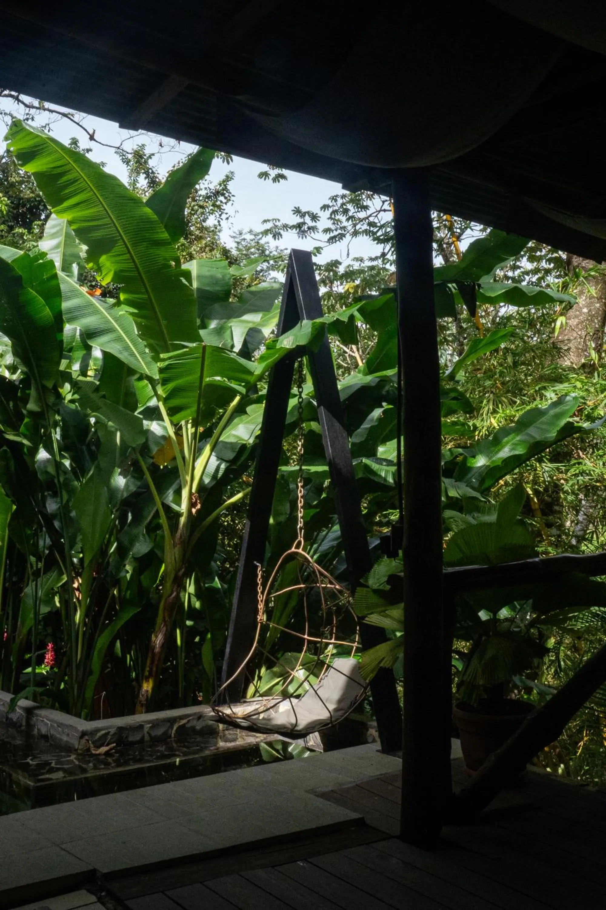 Pool view in Canaima Chill House