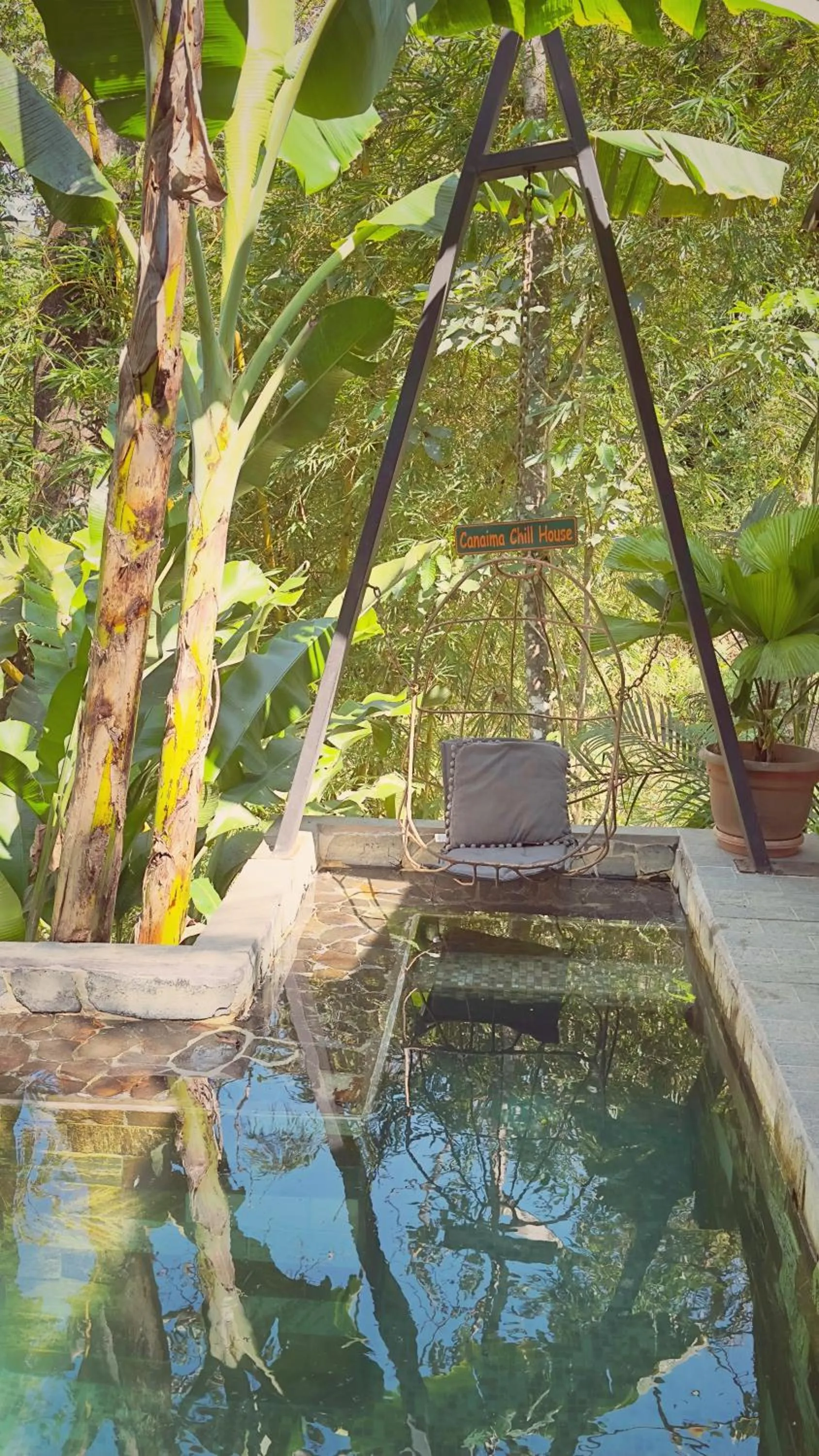 Swimming pool in Canaima Chill House