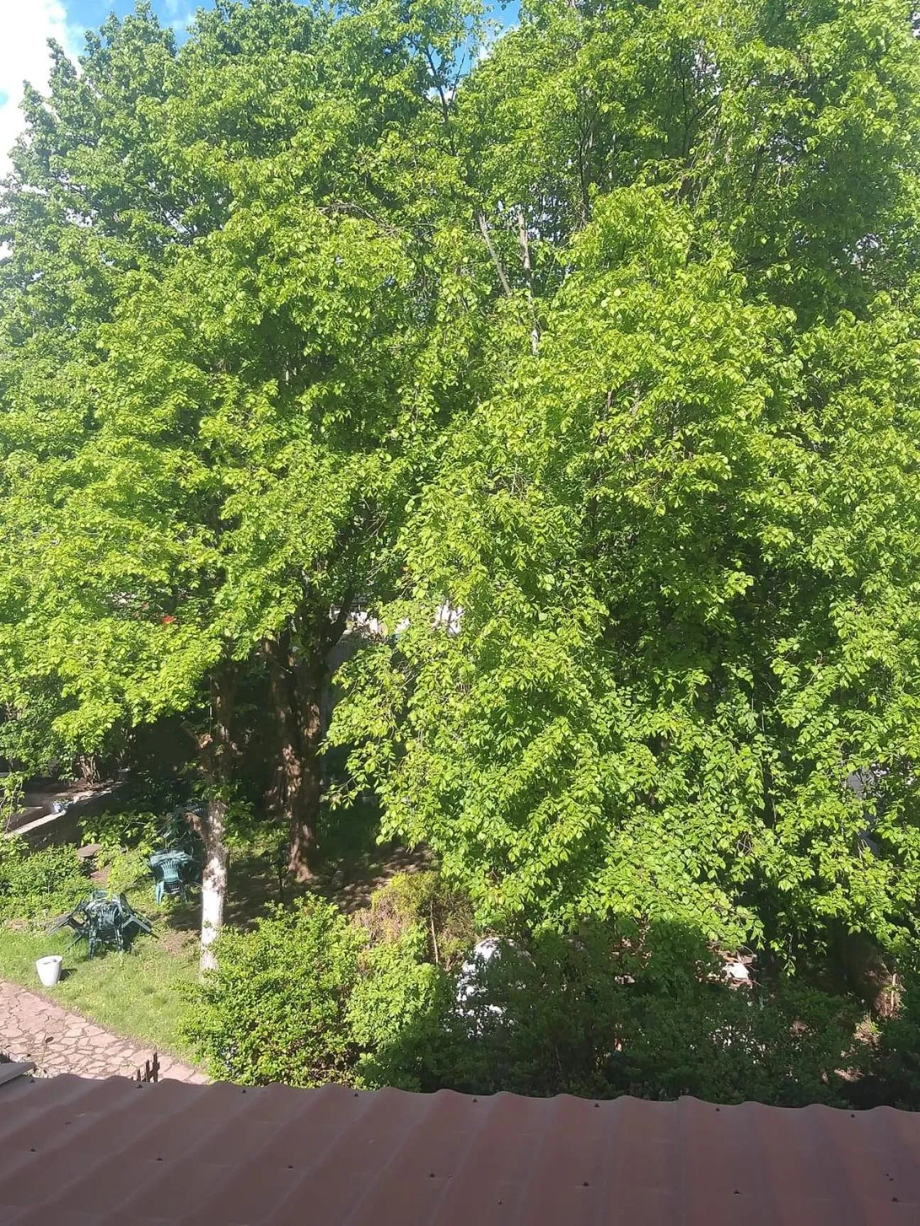 Garden view in Résidence SoAnSa du Gérardmer de la Sci Rsast - Col de la Schlucht
