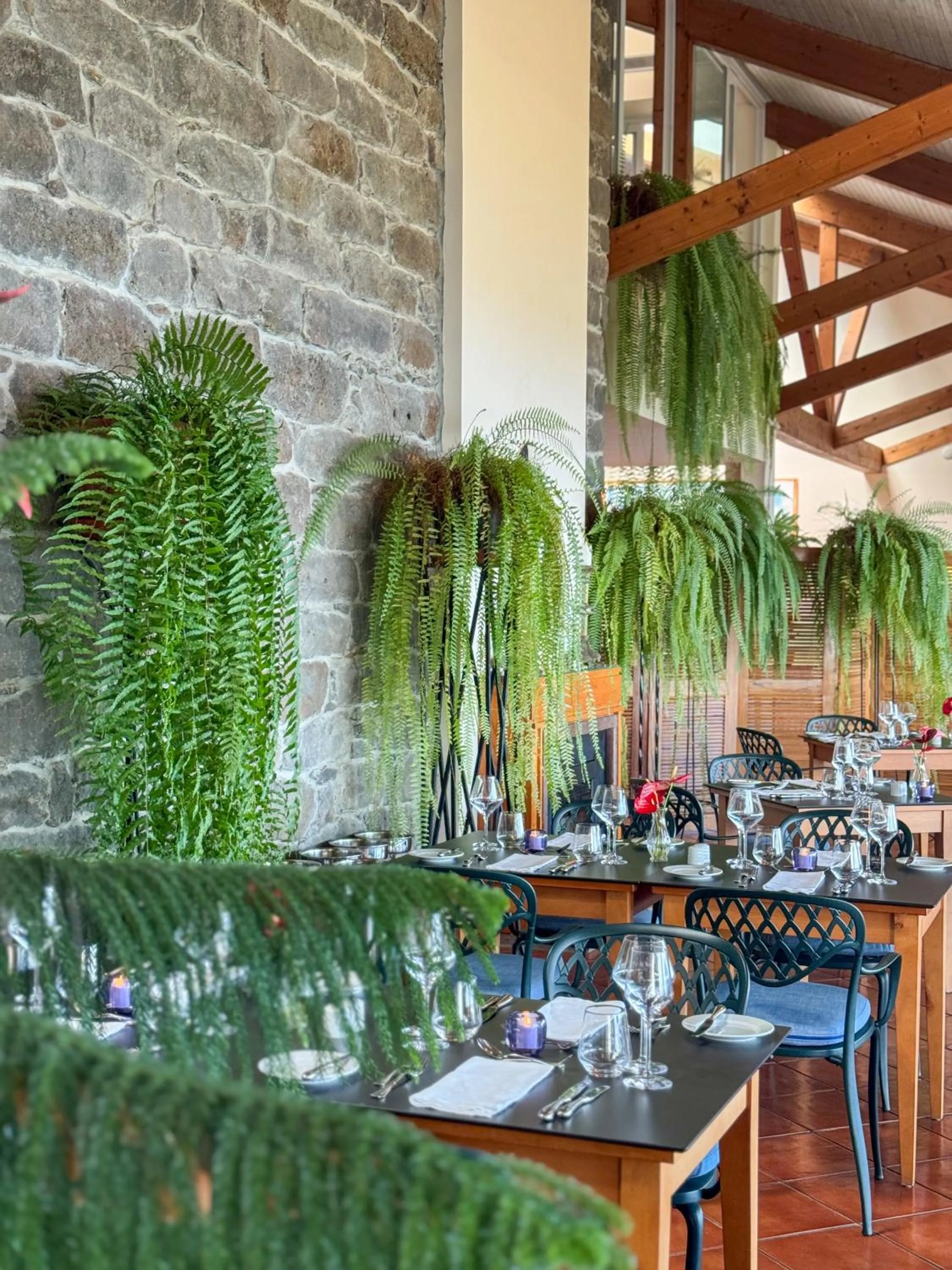 Restaurant/places to eat in Albatroz Beach & Yacht Club