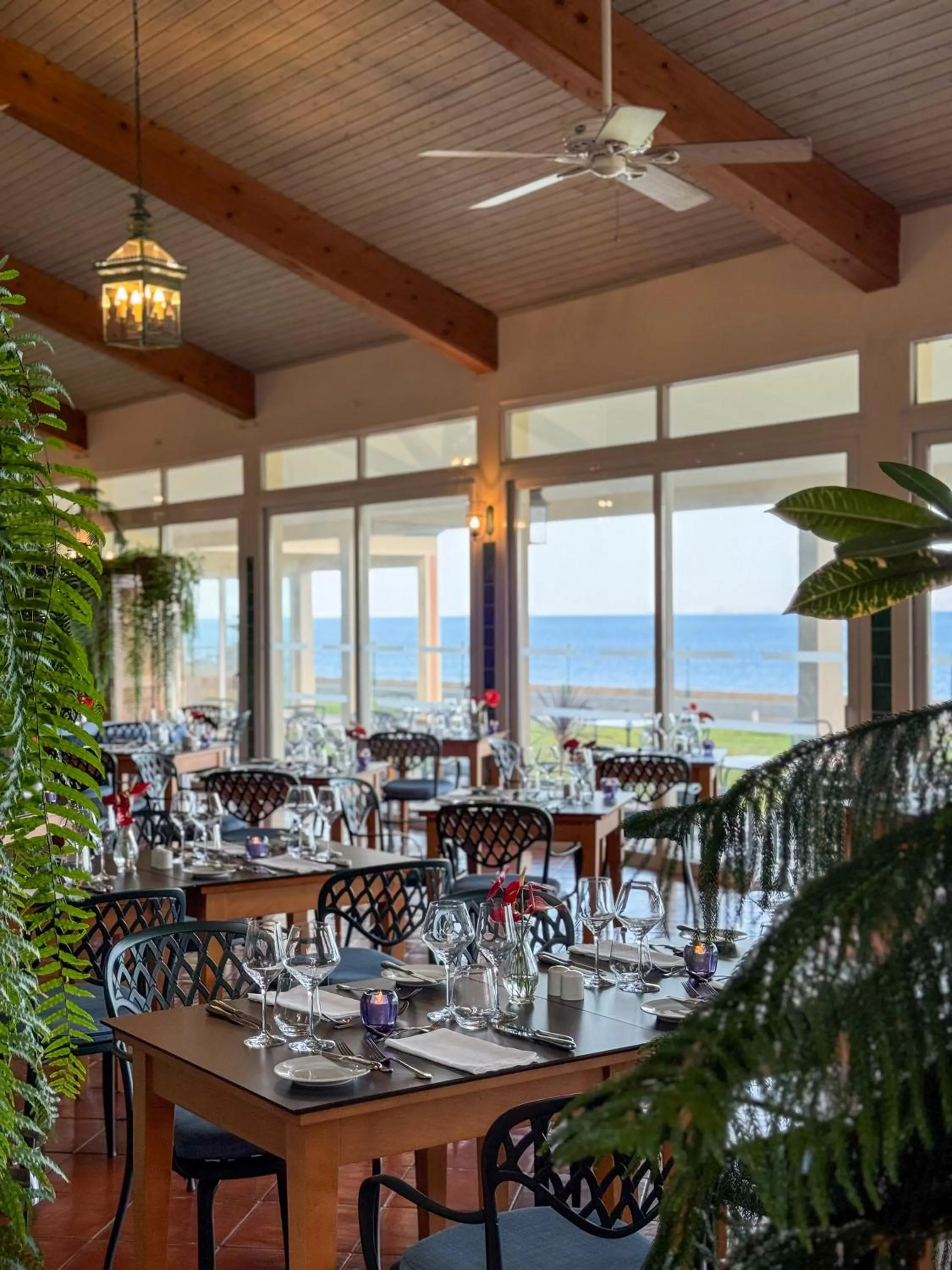 Restaurant/places to eat in Albatroz Beach & Yacht Club