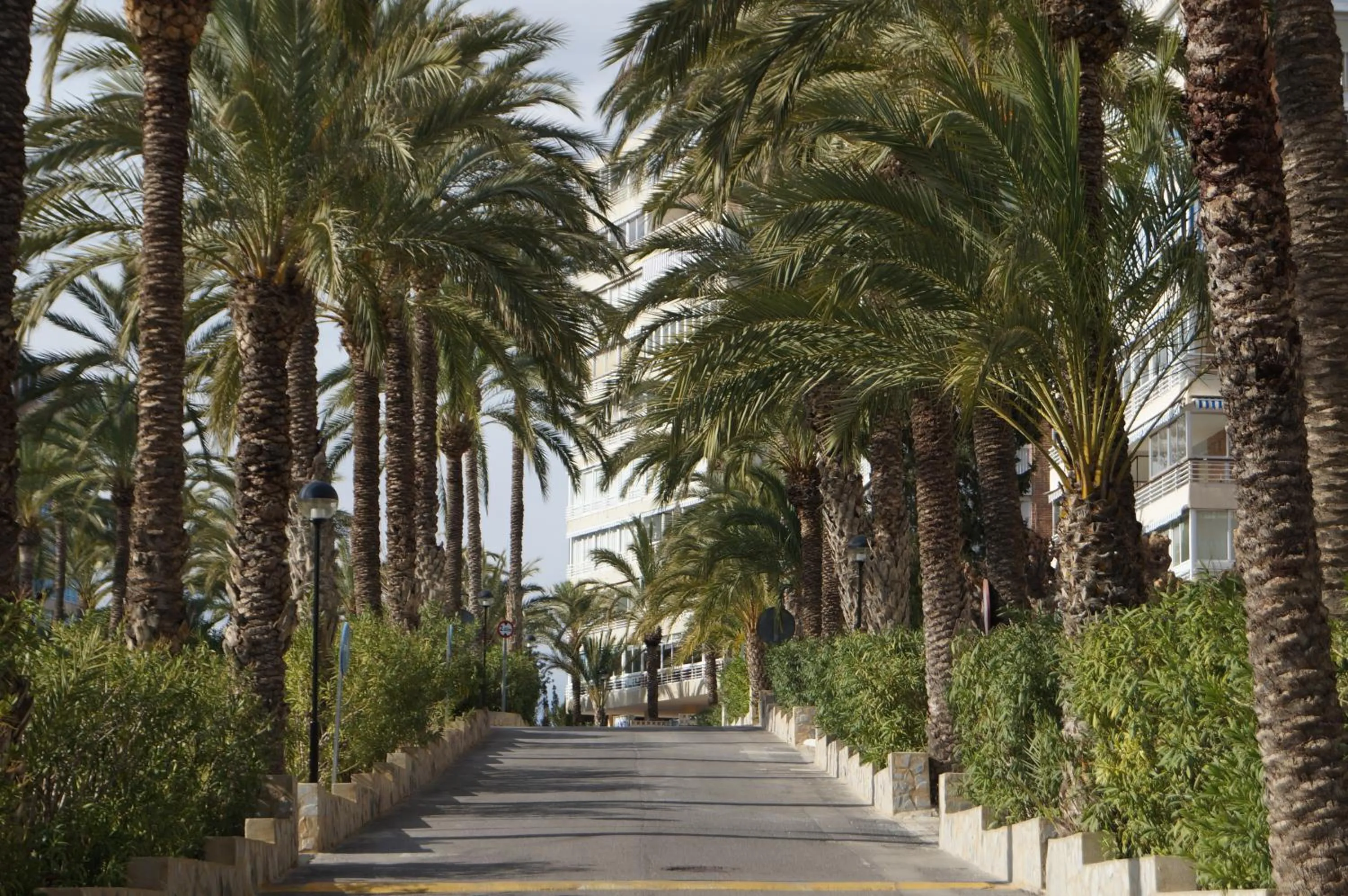 Area and facilities in barbara 20 playa muchavista alicante