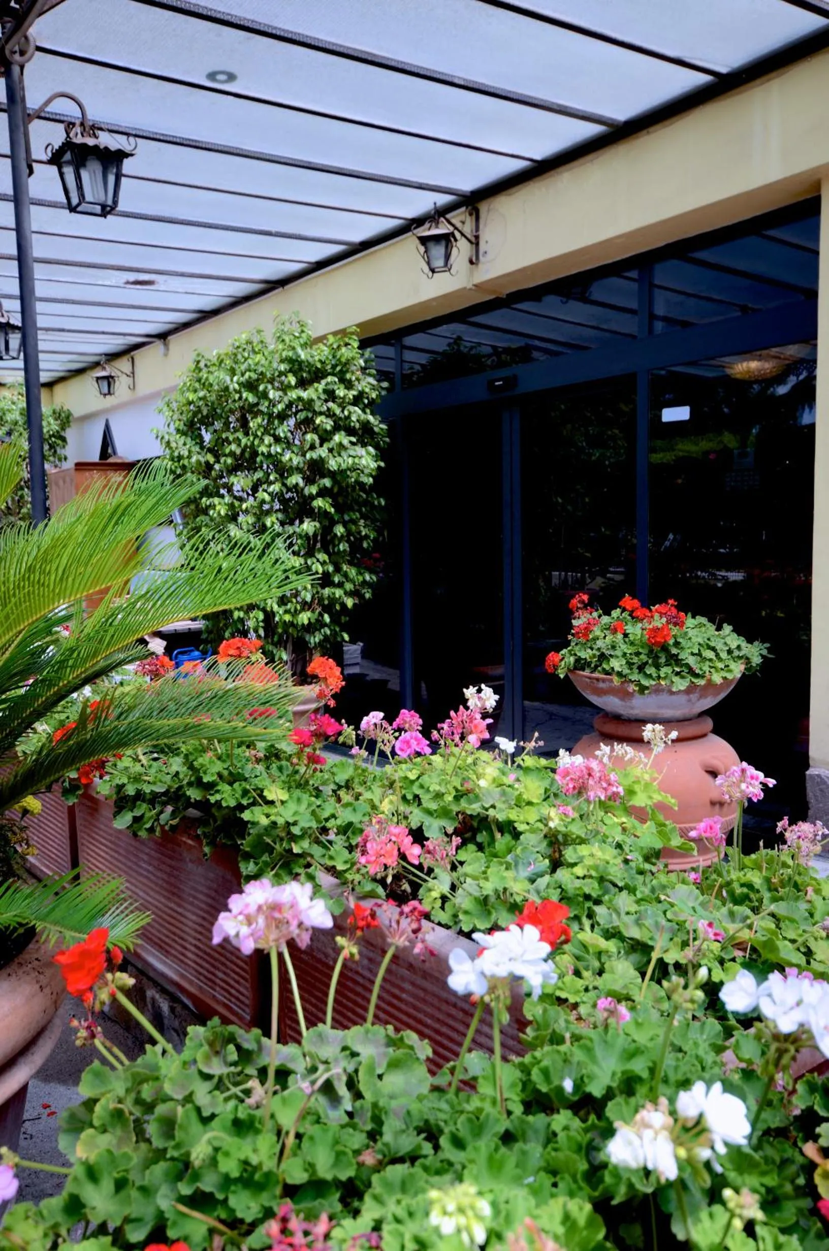 Garden in Hotel Clinton