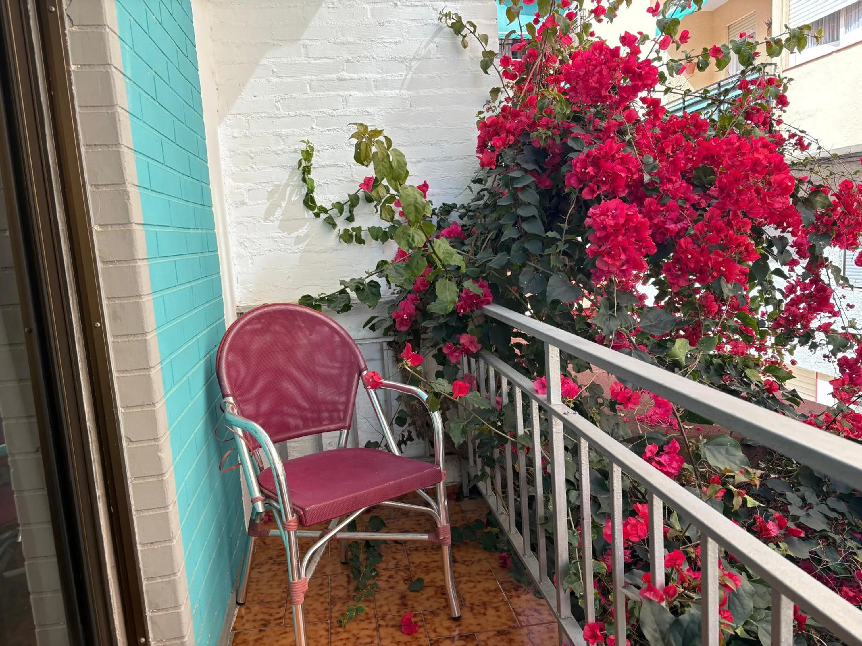 Property building in Hostal Rocamar